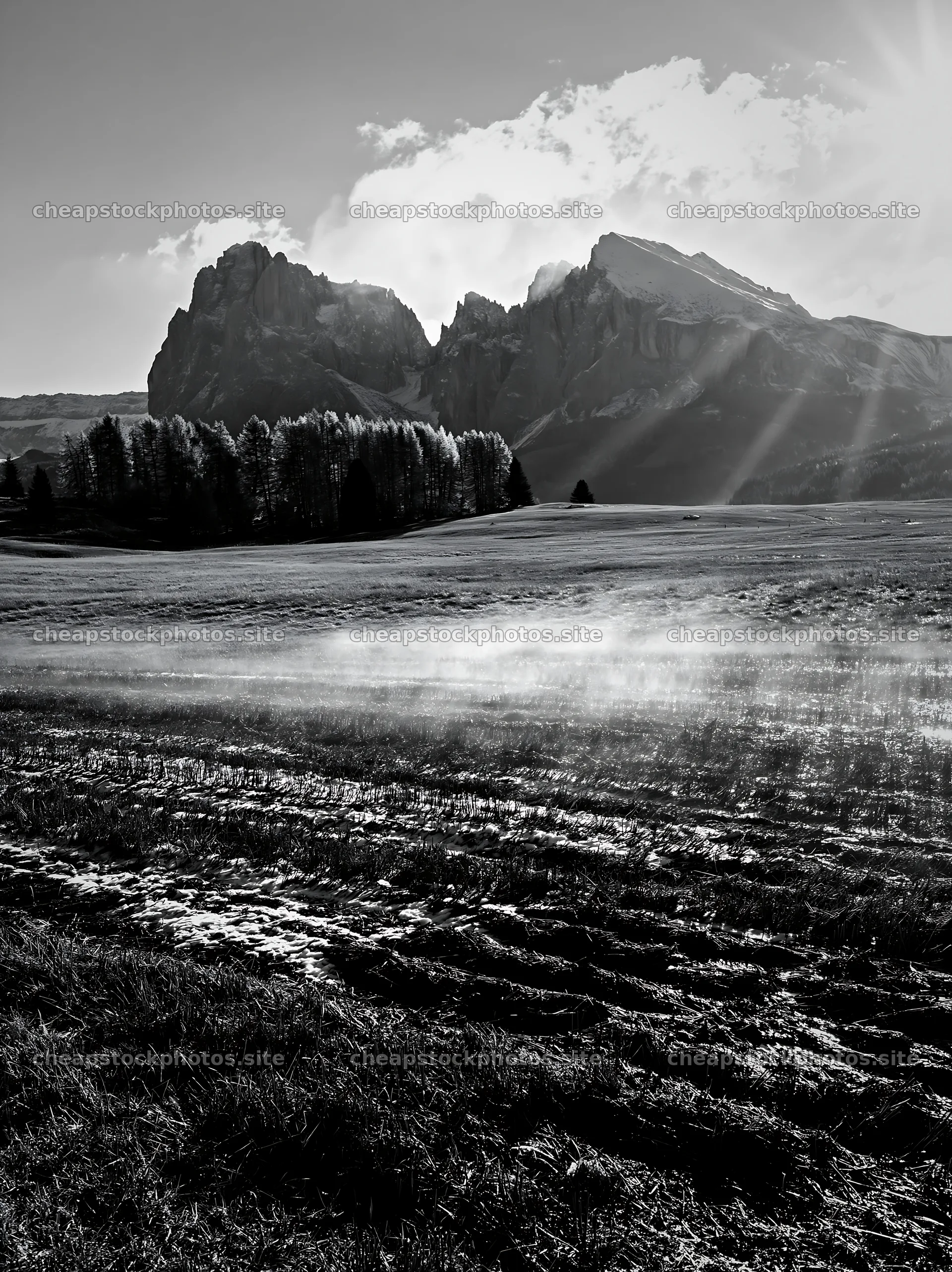Alpe di Siusi meadow sunbeams create morning light effects – stock photos 6866x9174