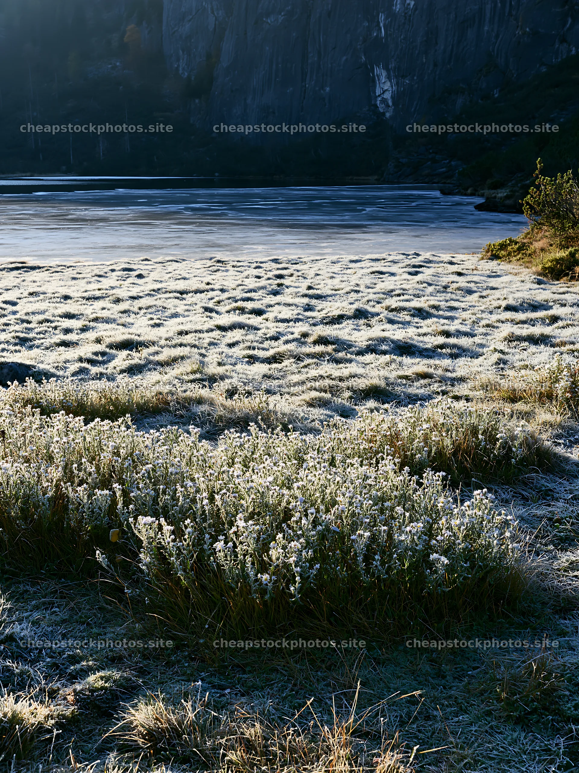 Frozen tarn meadow with frost-covered grass and icy lake – stock photos 6866x9174