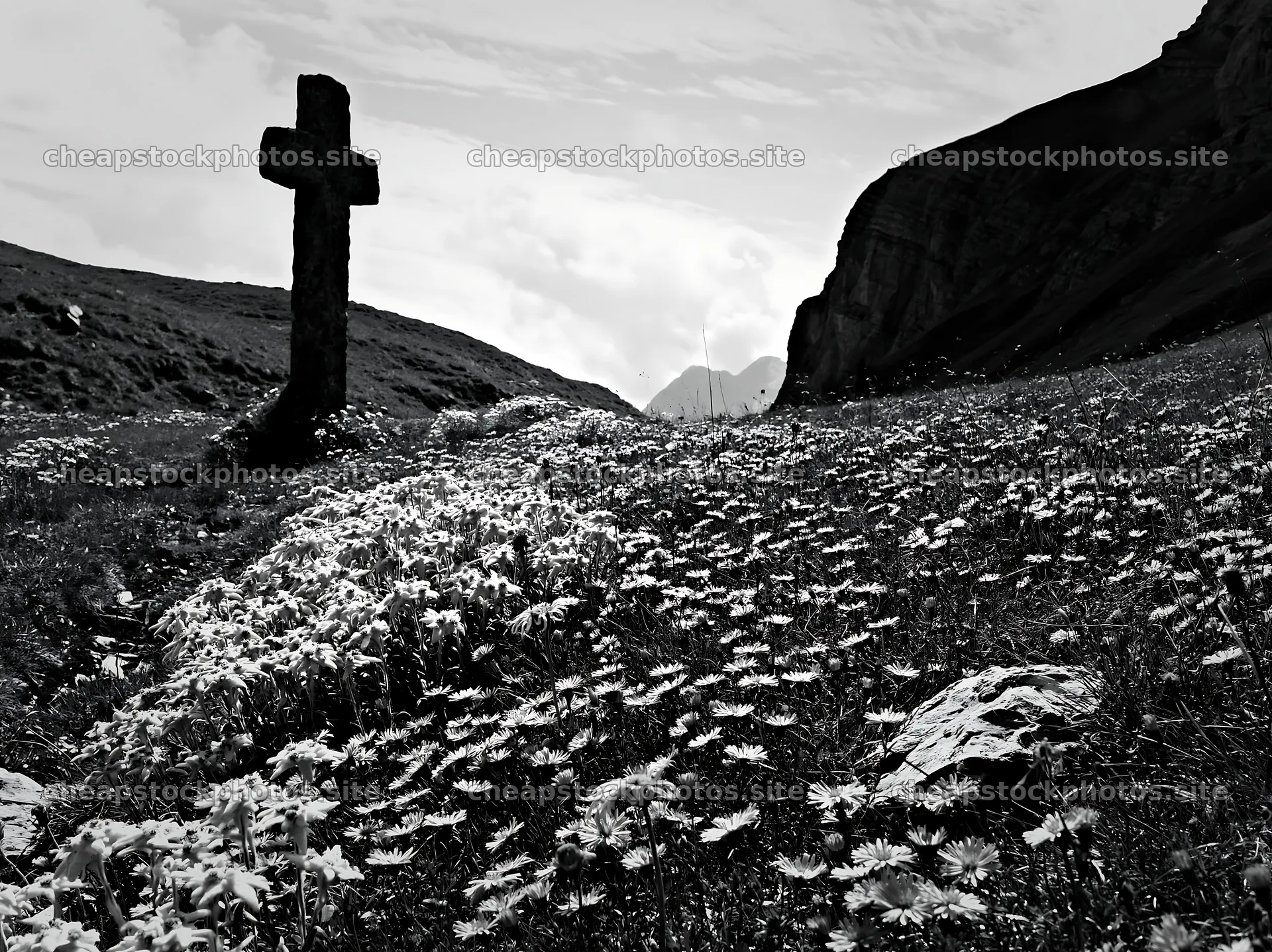 Christian cross in alpine meadow with flowers – stock photos 9174x6866
