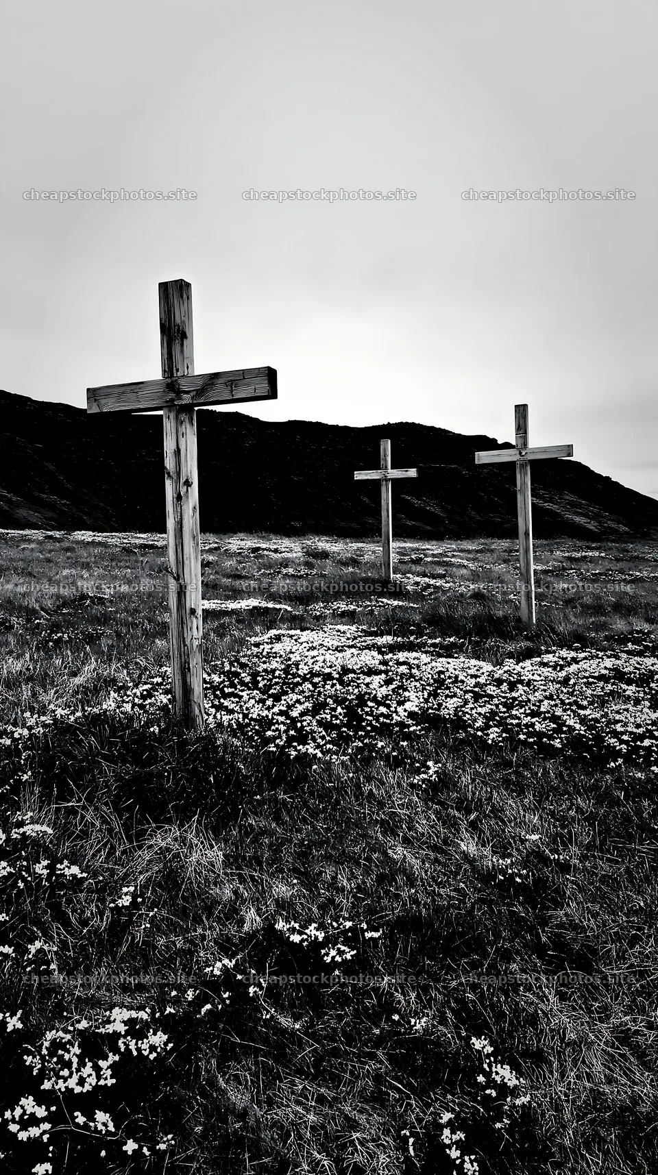 Crosses among yellow flowers in meadow – stock photos 5938x10608