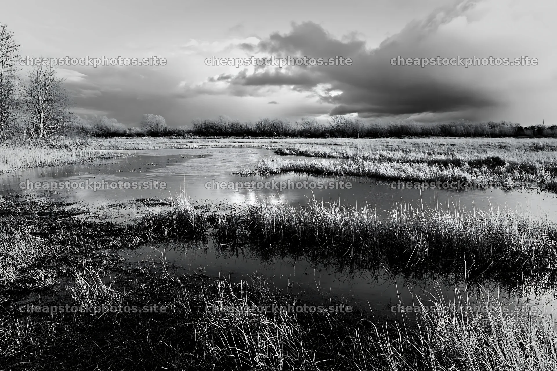Autumn meadow with water and cloudy skies – stock photos 9722x6480