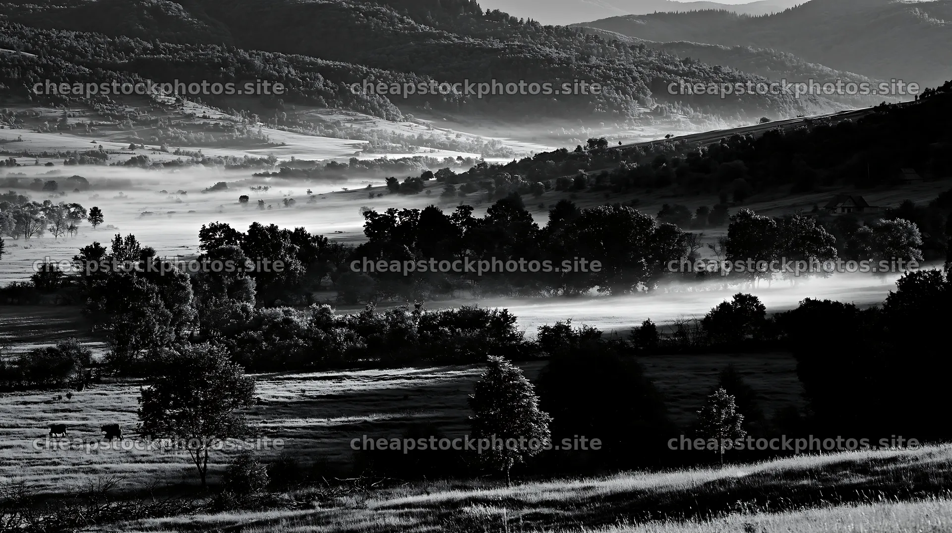 Transylvania summer hay meadows with fog in morning light – stock photos 10608x5938