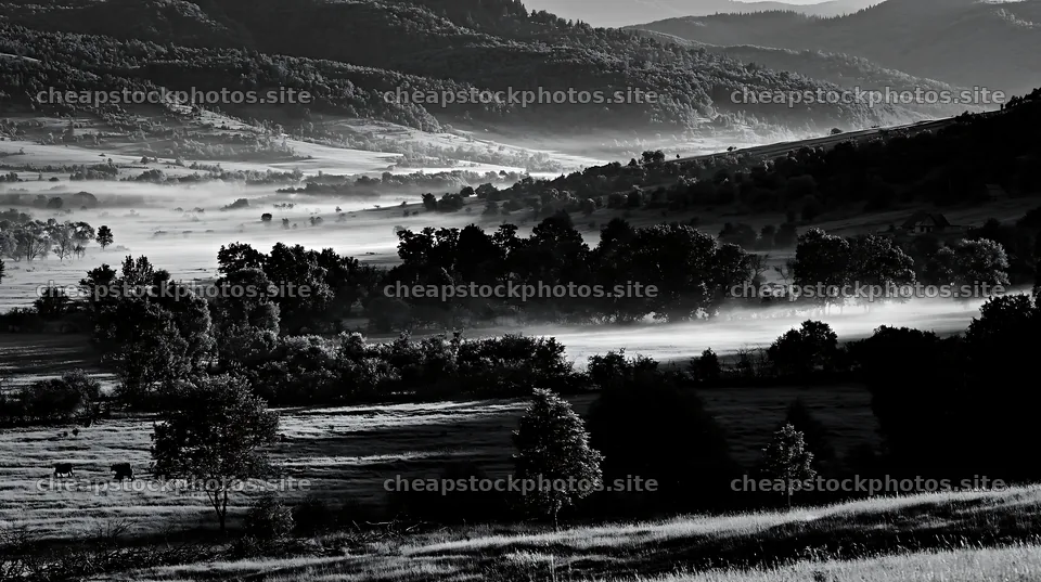 Transylvania summer hay meadows with fog in morning light – stock photos 10608x5938