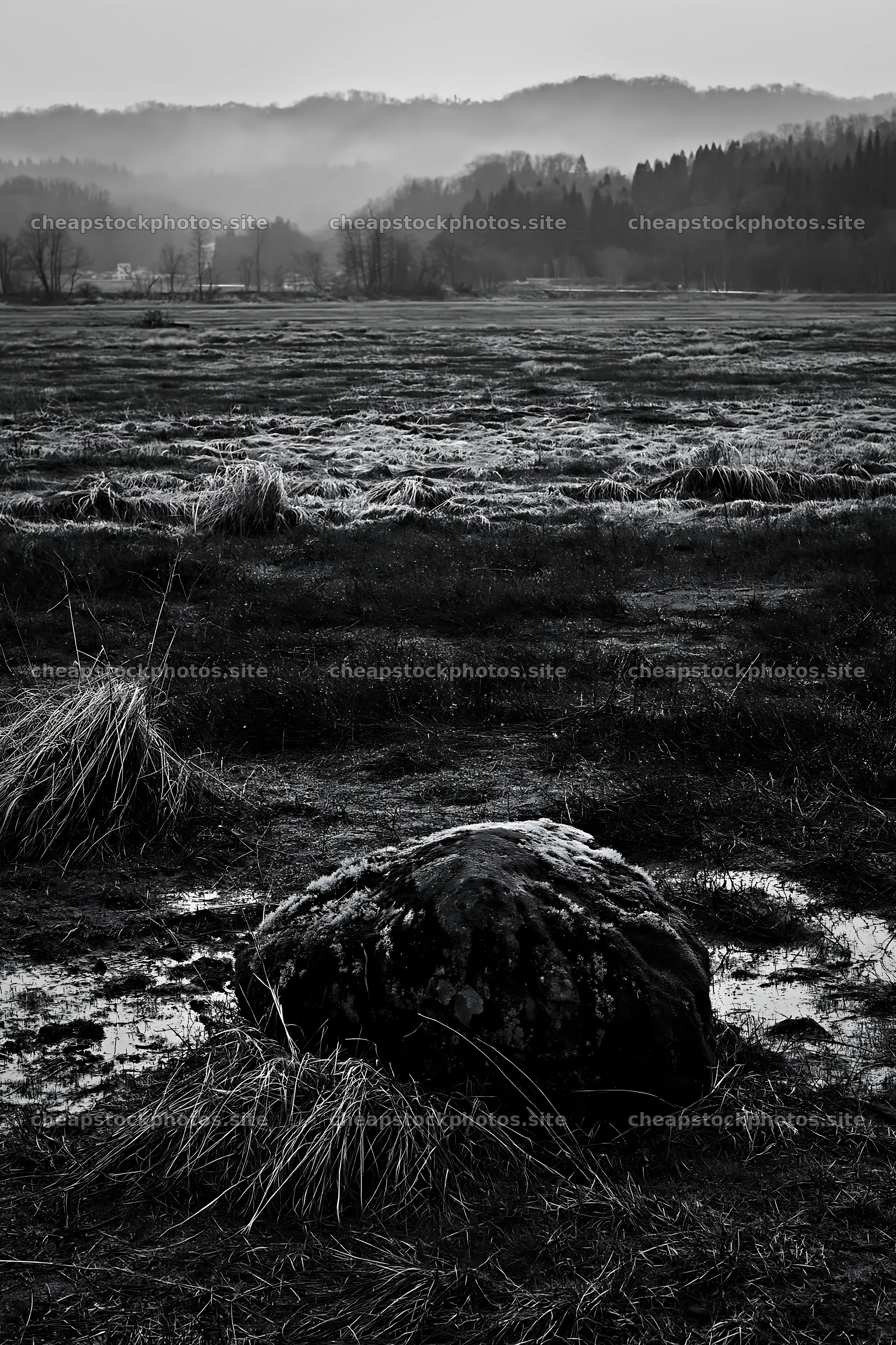 Miyagi spring recovery meadow mossy stone in a quiet landscape – stock photos 6480x9722