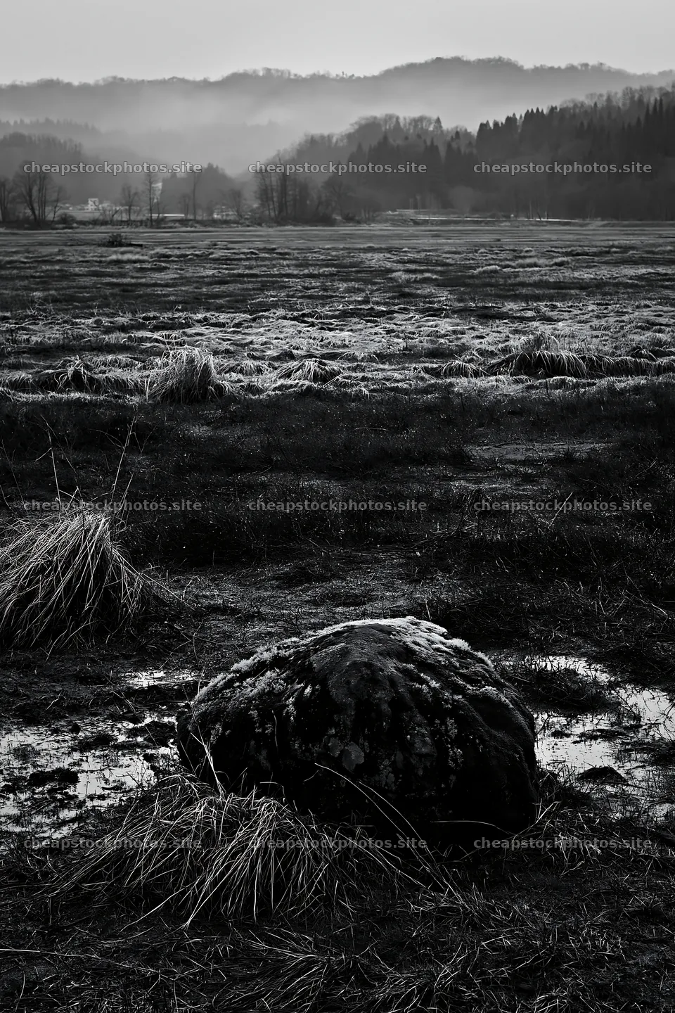 Miyagi spring recovery meadow mossy stone in a quiet landscape – stock photos 6480x9722
