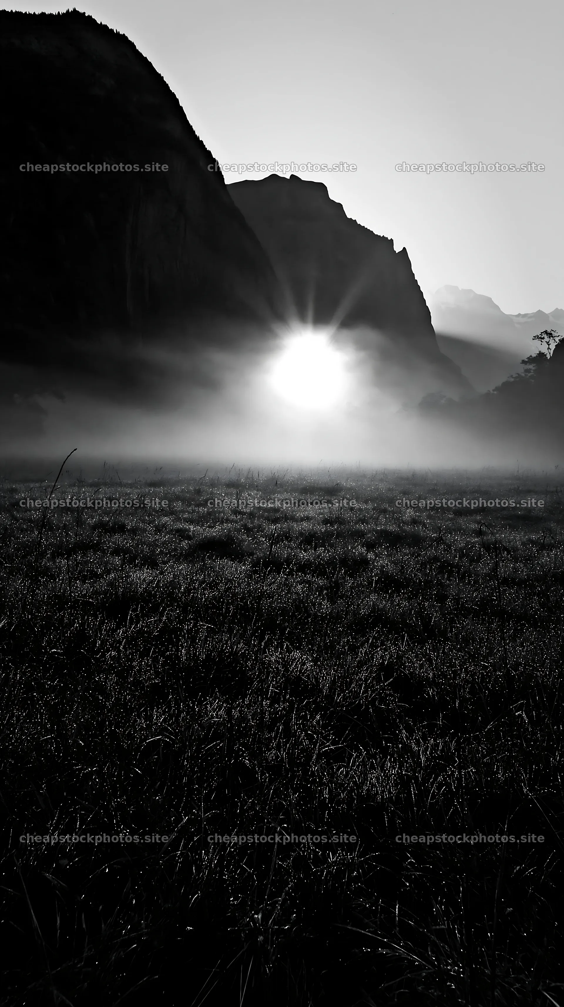Lauterbrunnen Valley meadow light rays show sun through mist – stock photos 5938x10608