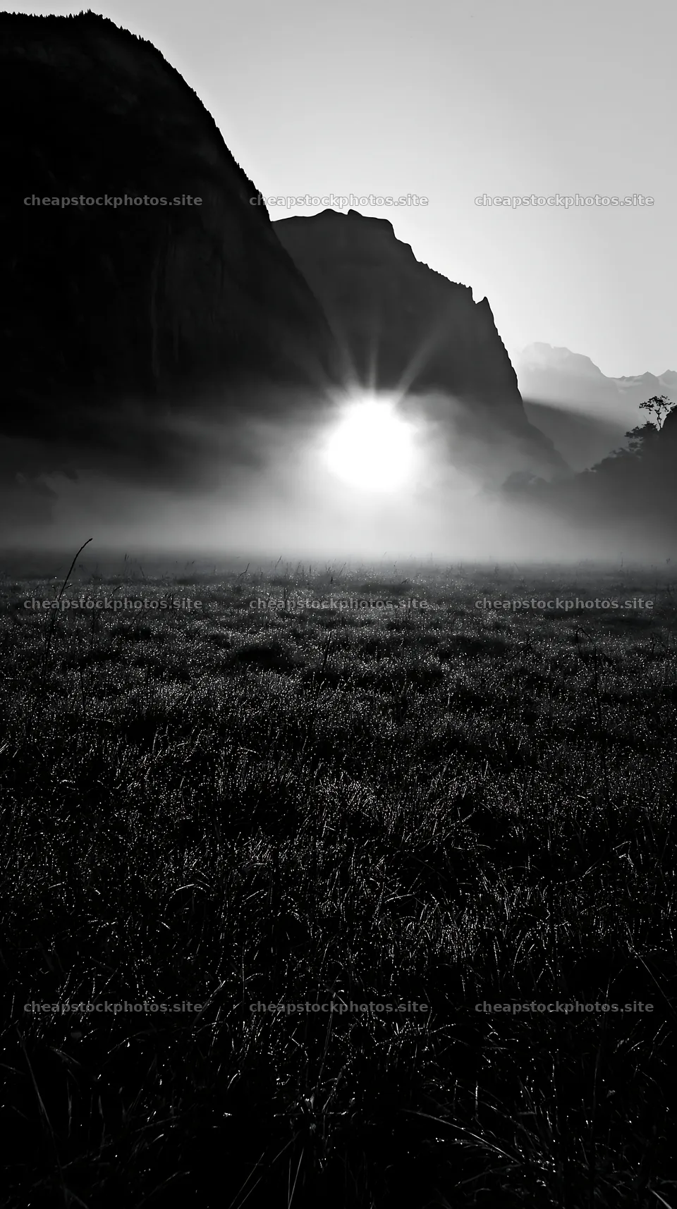 Lauterbrunnen Valley meadow light rays show sun through mist – stock photos 5938x10608