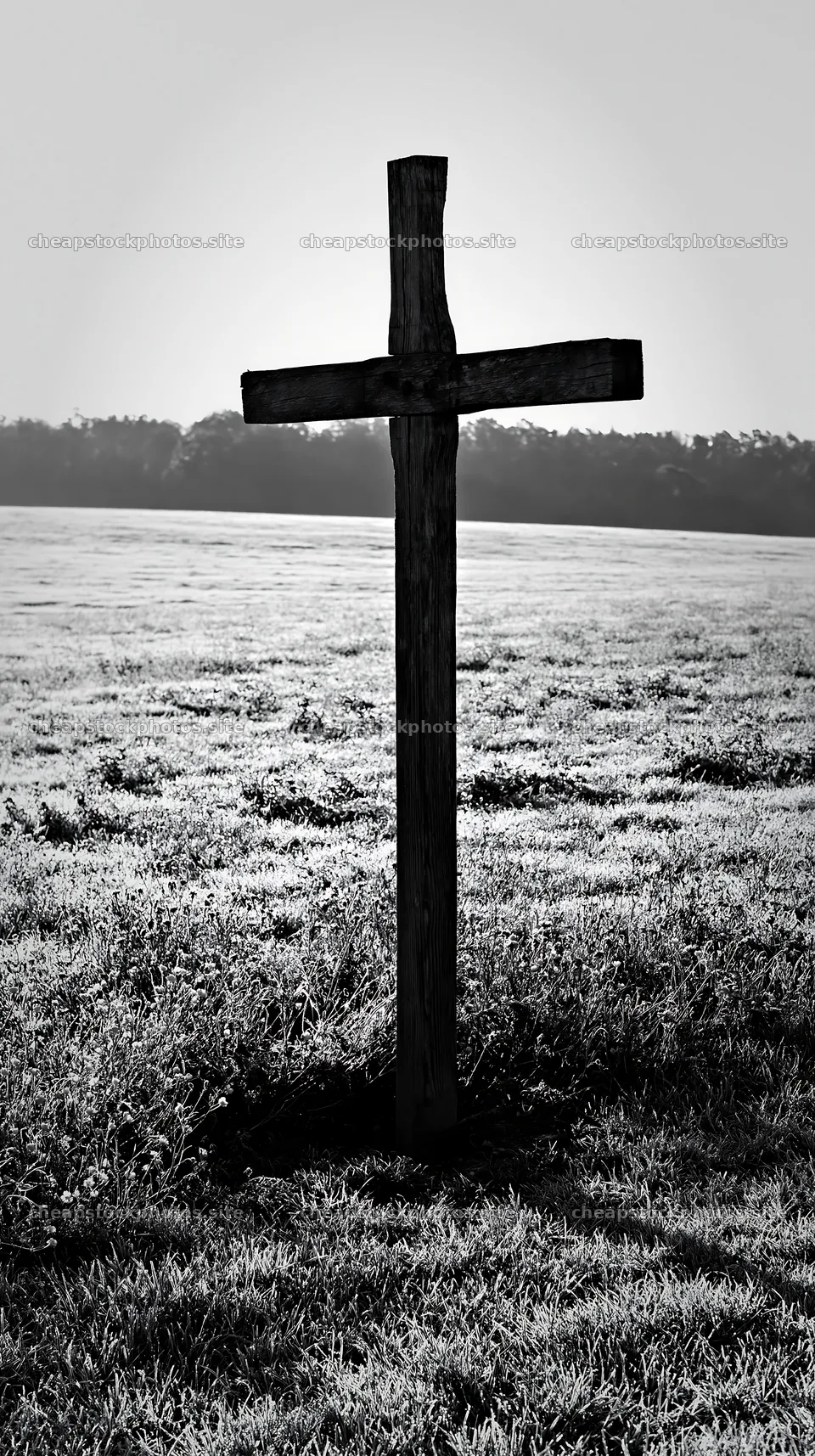 Wooden Christian cross standing in Christmas meadow – stock photos 5938x10608