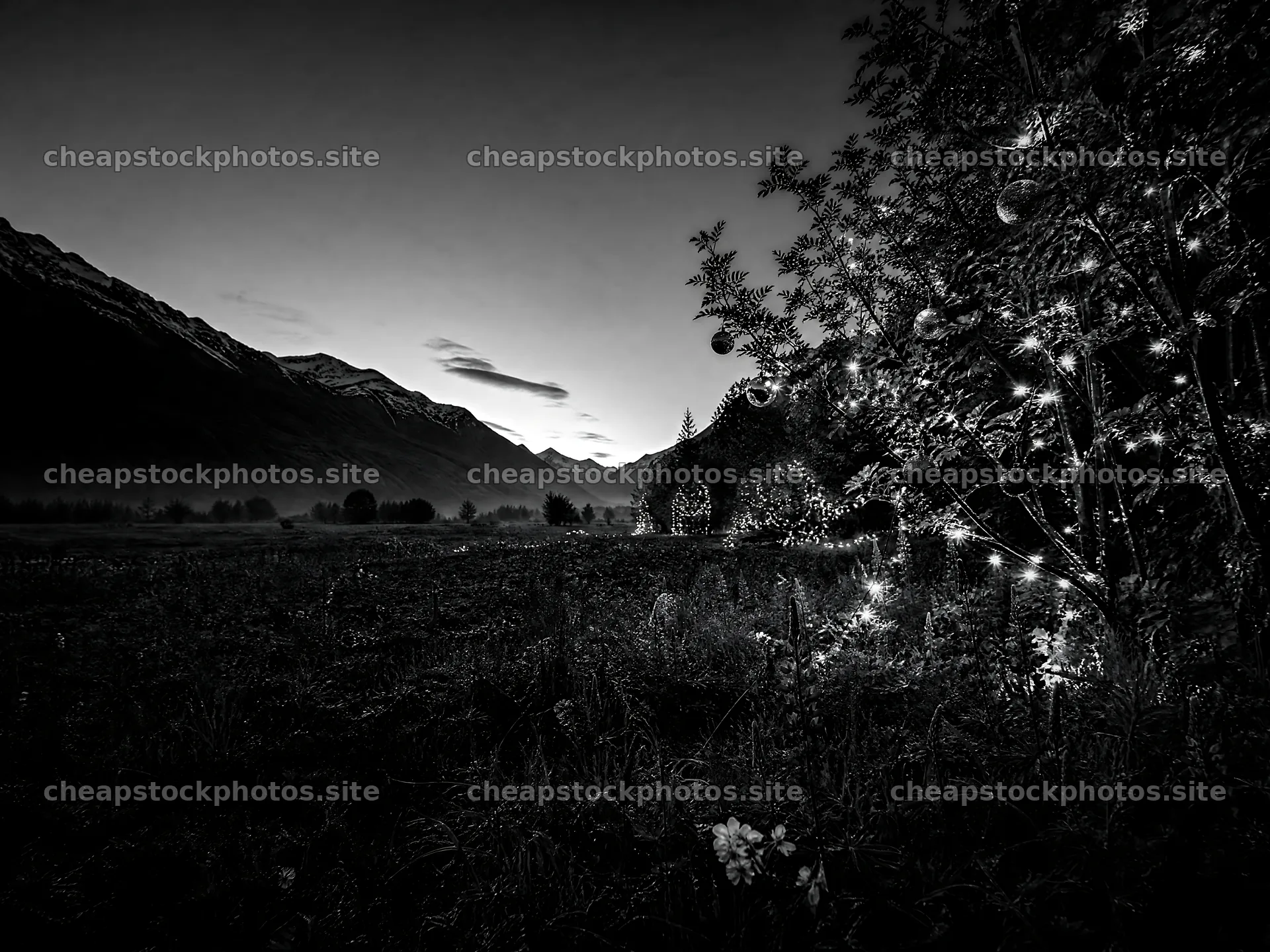 Warm Christmas lights across a mountain valley meadow – stock photos 9166x6874