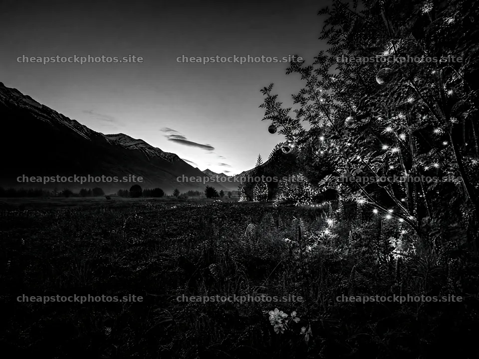 Warm Christmas lights across a mountain valley meadow – stock photos 9166x6874