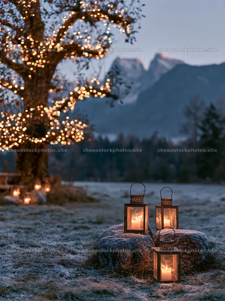 Frosted meadow with lanterns and a tree decorated for Christmas – stock photos 6866x9174