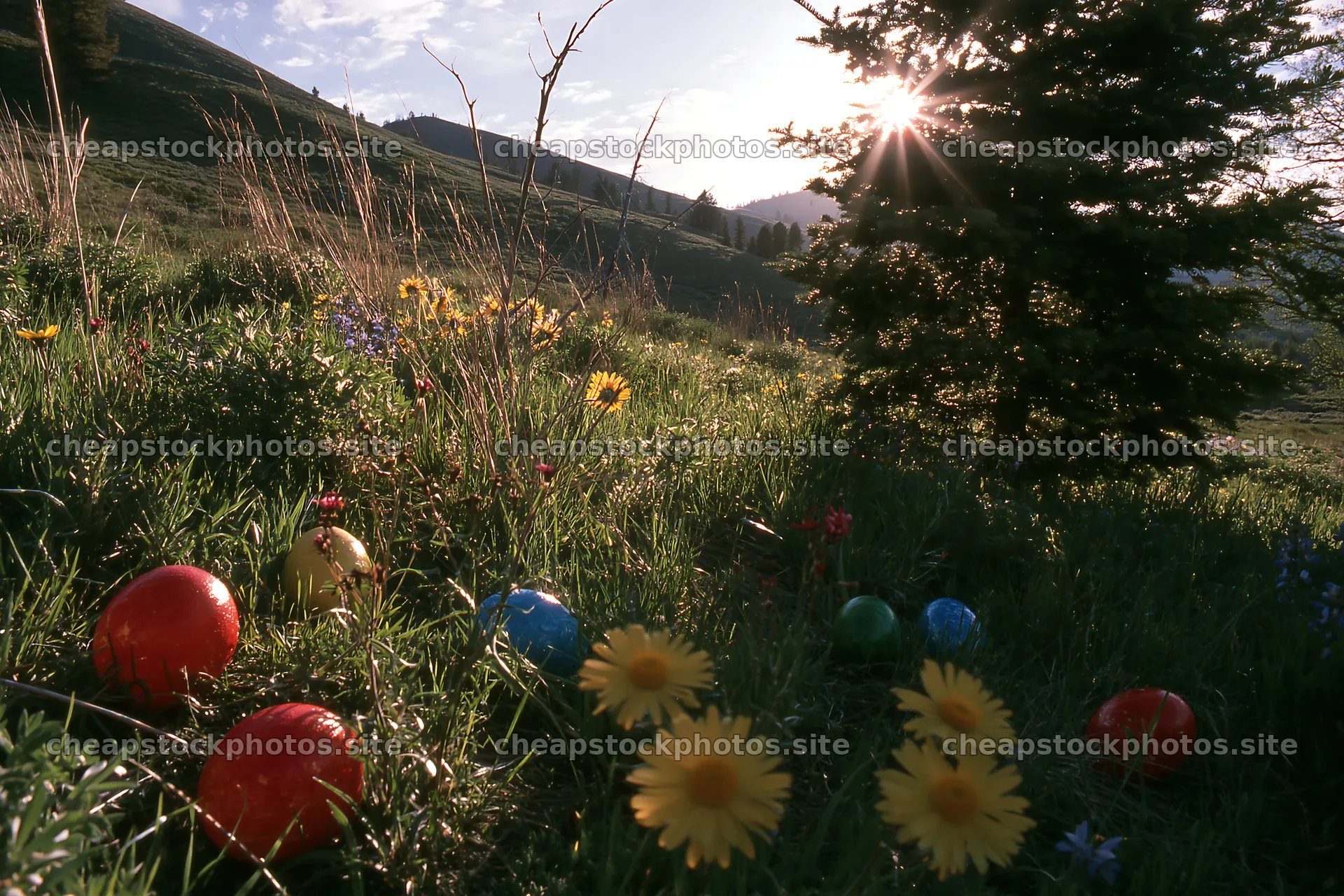 Christmas tree in meadow with flowers and eggs – stock photos 9722x6480