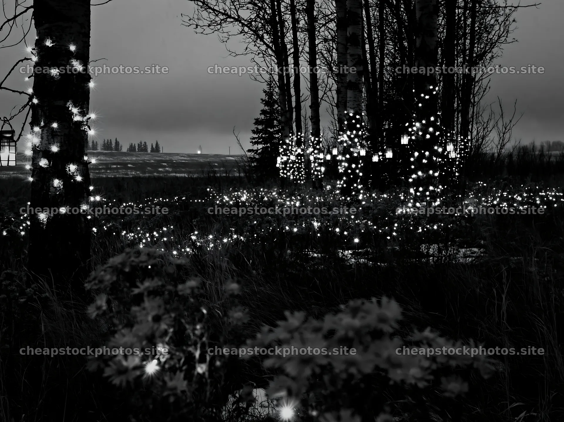 Wide Christmas meadow with native flowers and fairy lights – stock photos 9174x6866