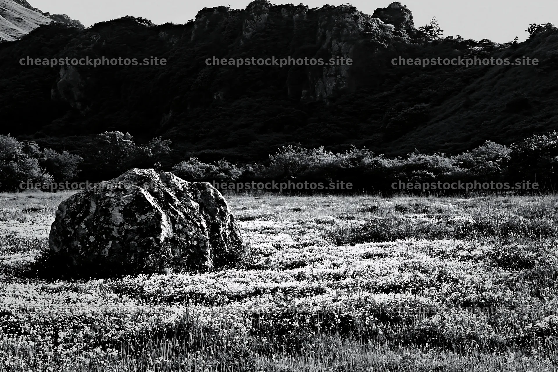 Yamaguchi limestone meadow with pale boulder in lush landscape – stock photos 9722x6480