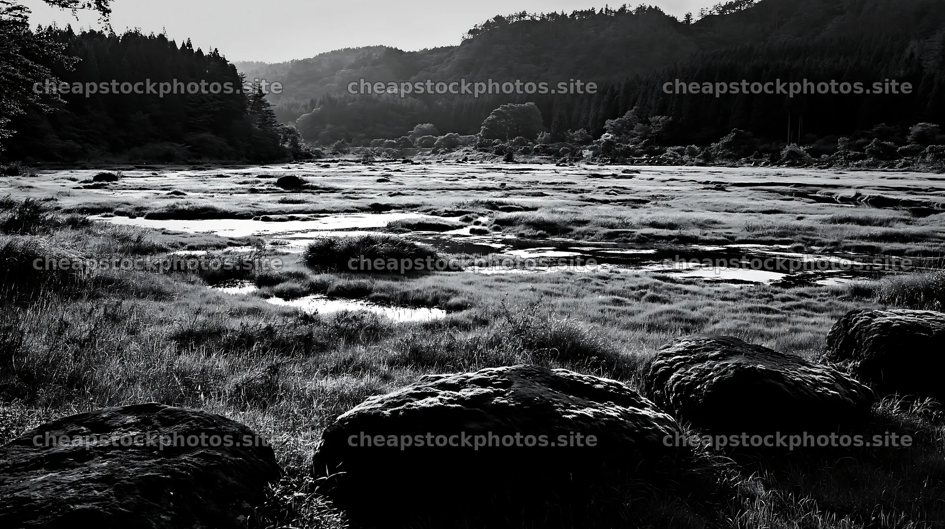 Miyagi spring recovery meadow with mossy stones and trees – stock photos 10608x5938