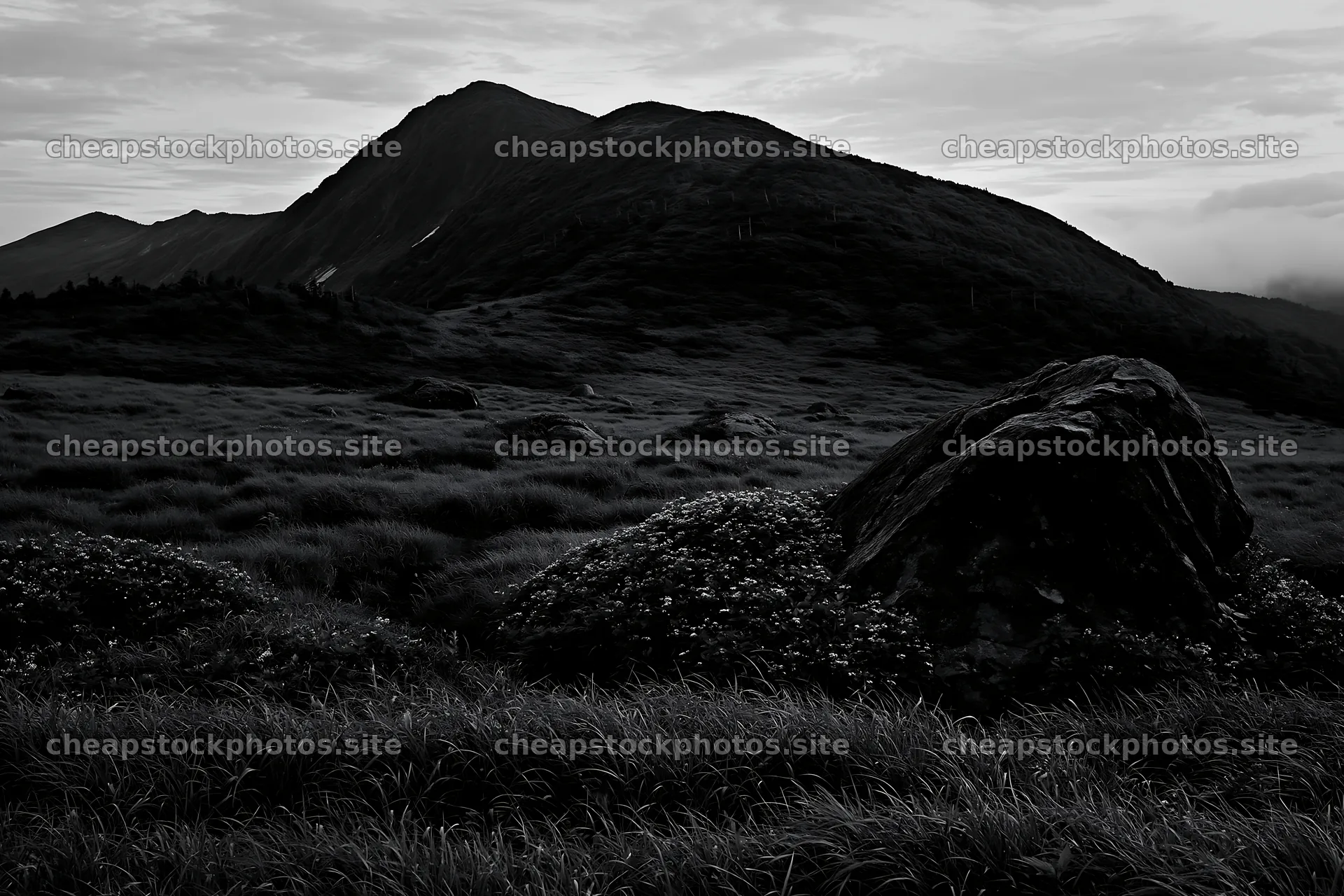 Aomori climate resilient meadow with boulder under cloudy sky – stock photos 9722x6480