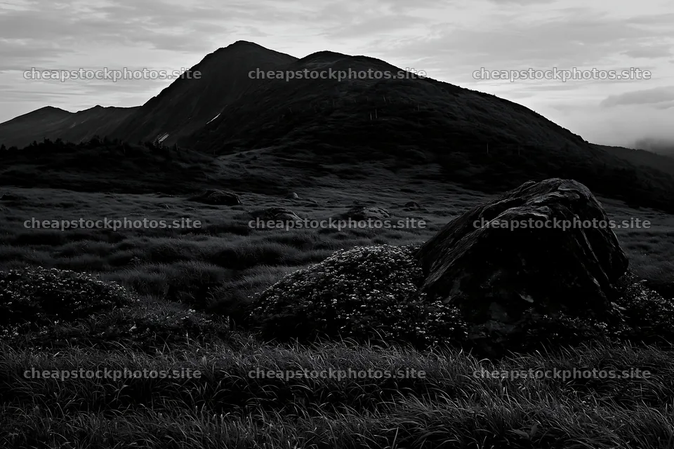 Aomori climate resilient meadow with boulder under cloudy sky – stock photos 9722x6480