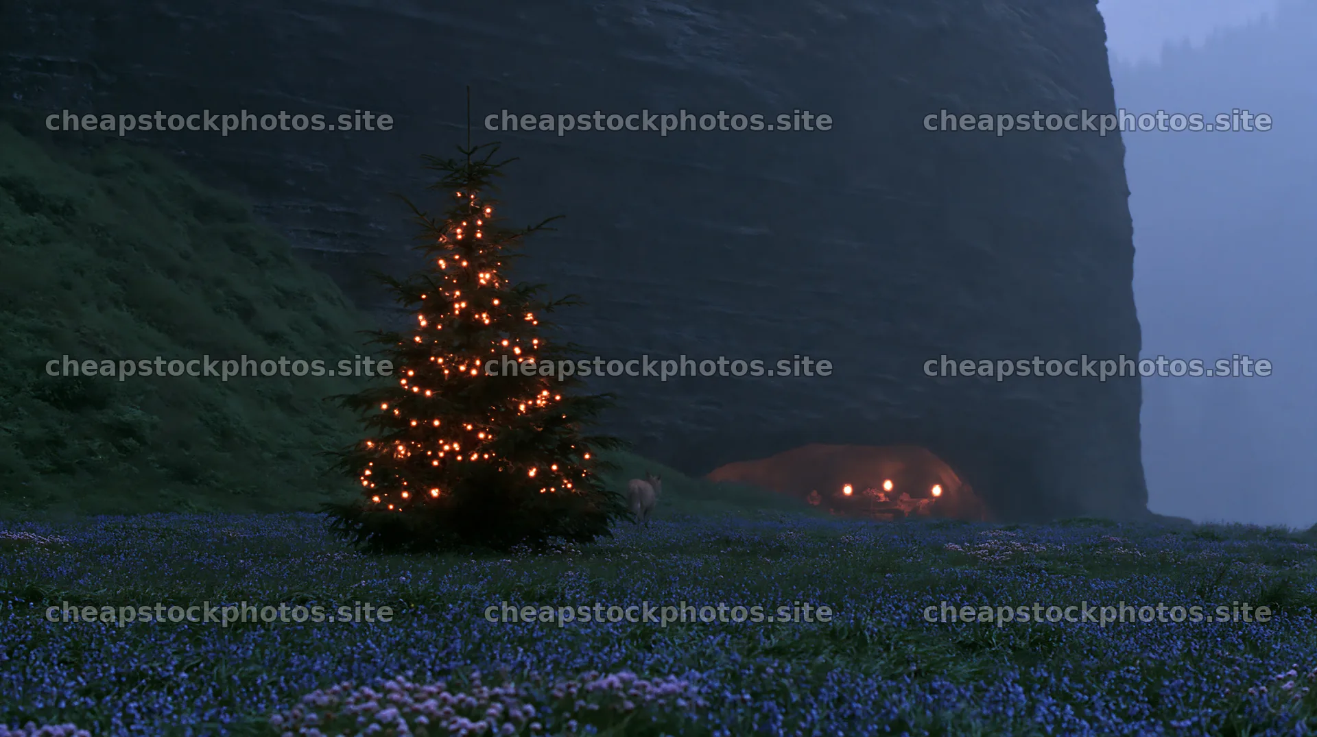 Christmas tree at dusk in meadow near cave – stock photos 10608x5938