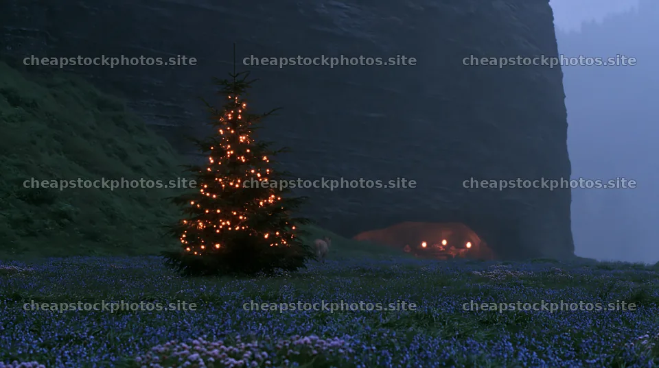 Christmas tree at dusk in meadow near cave – stock photos 10608x5938