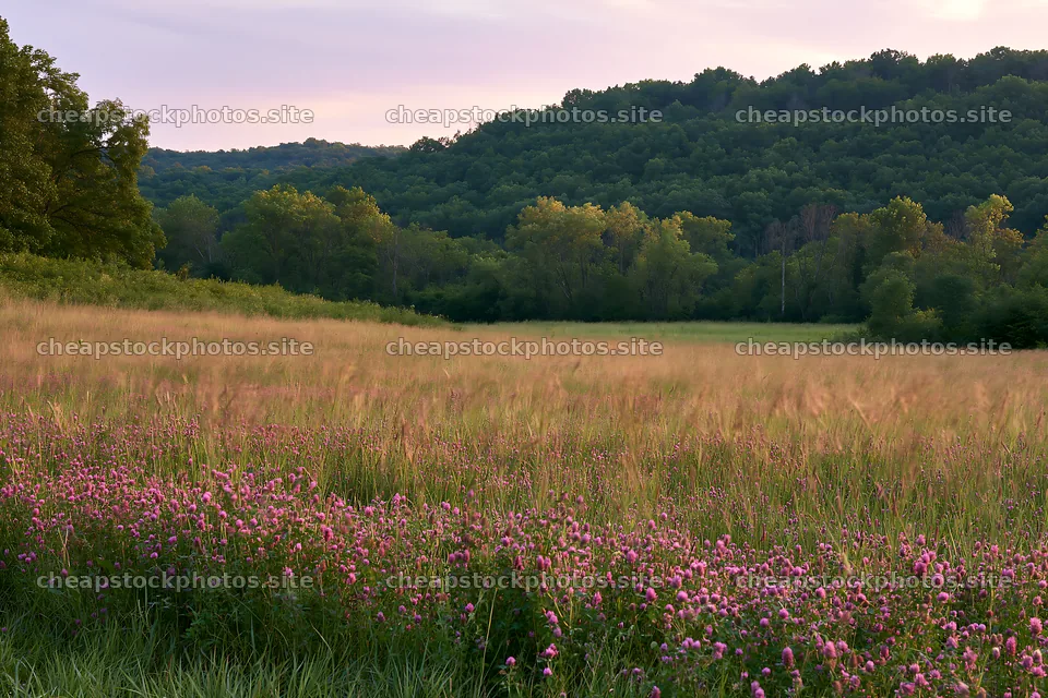 Hungarian meadow along wooded valley during late afternoon – stock photos 9722x6480
