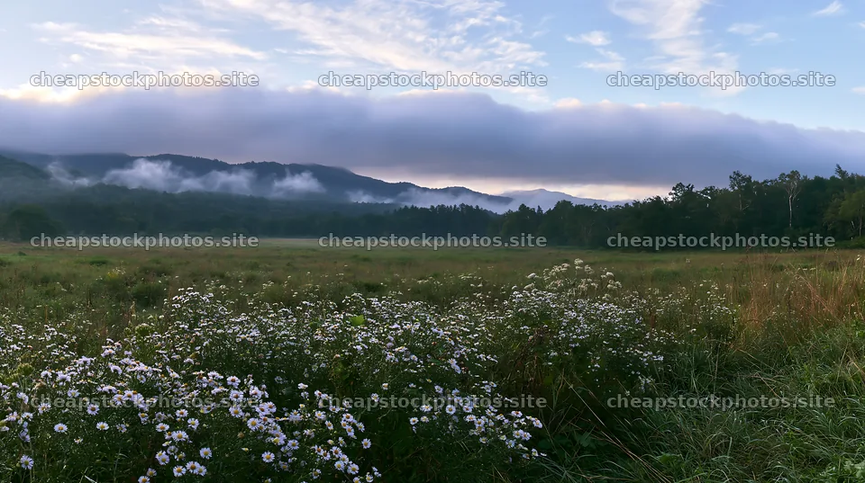 Expansive Hokkaido restoration meadow with dewdrops – stock photos 10608x5938