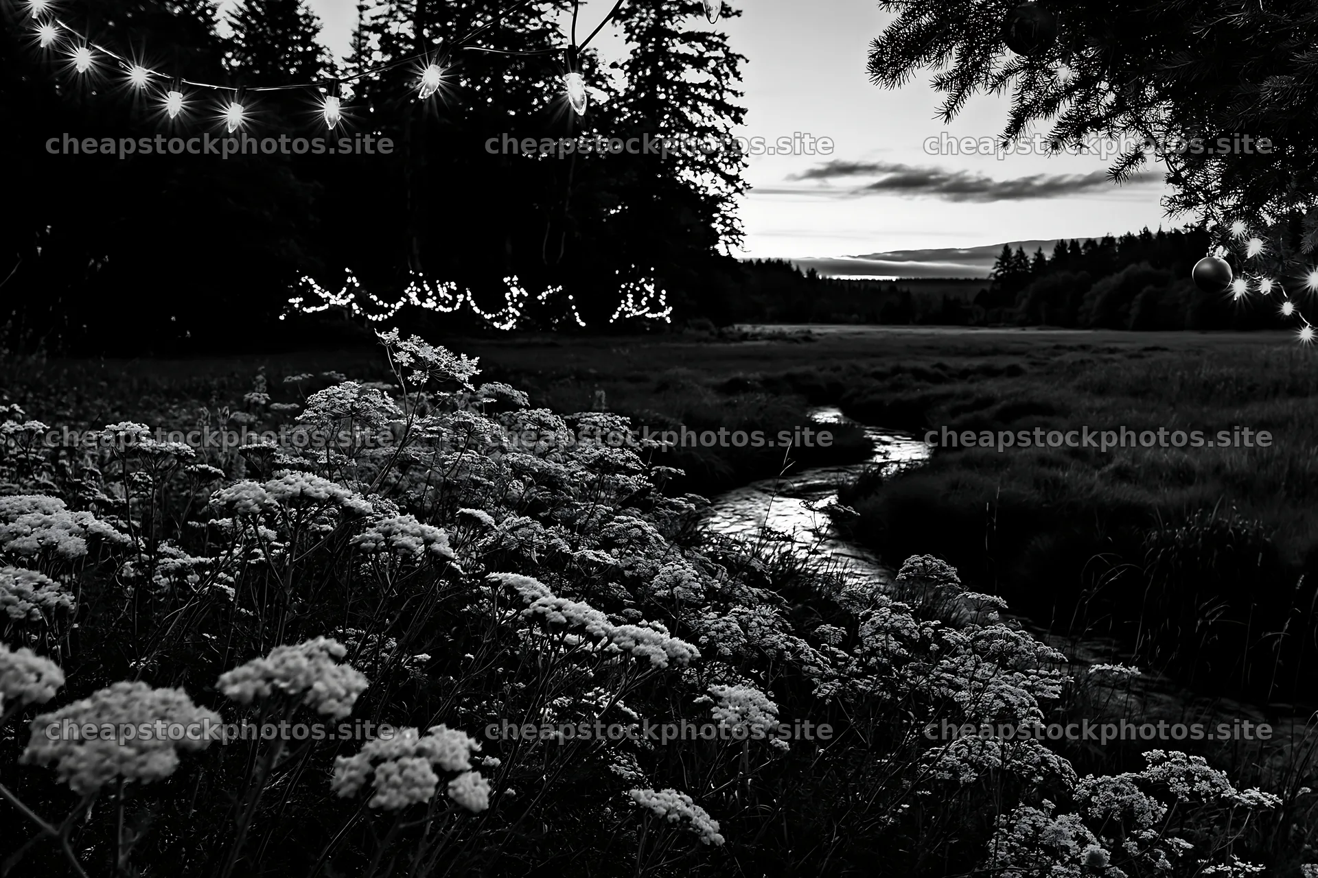 Christmas lights beside stream in meadow at dusk – stock photos 9722x6480