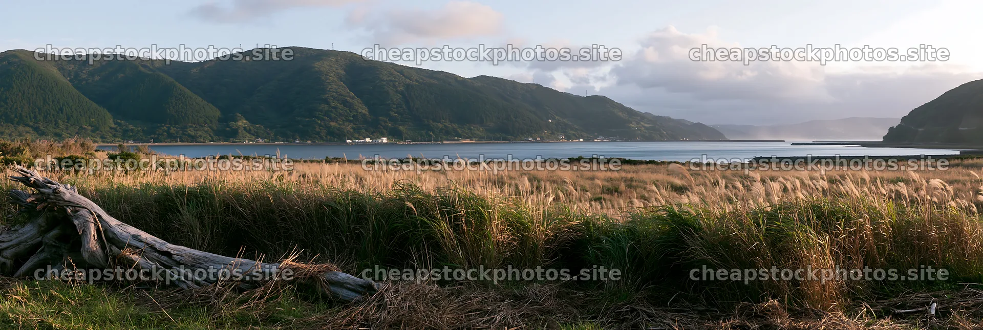Driftwood in coastal meadow at Nagasaki – stock photos 13690x4602