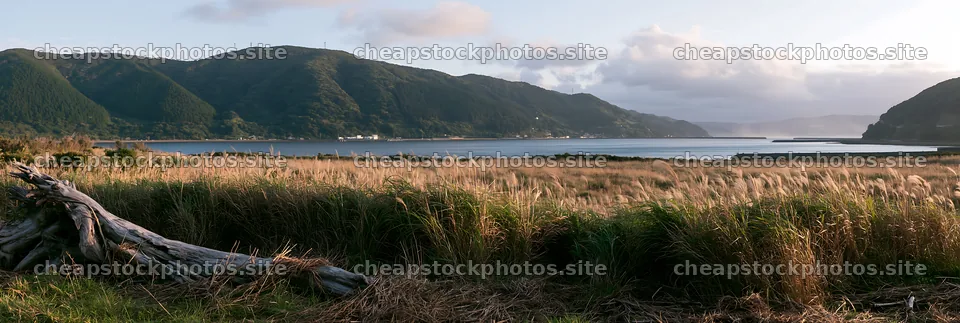 Driftwood in coastal meadow at Nagasaki – stock photos 13690x4602