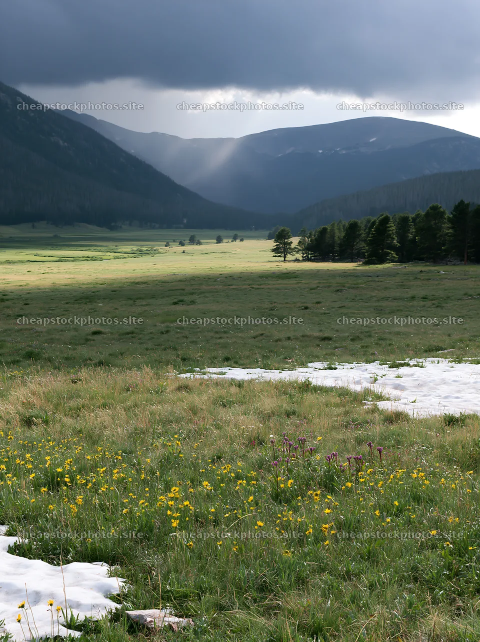 Snowy meadow in Rocky Mountain Park with distant mountains – stock photos 6866x9174