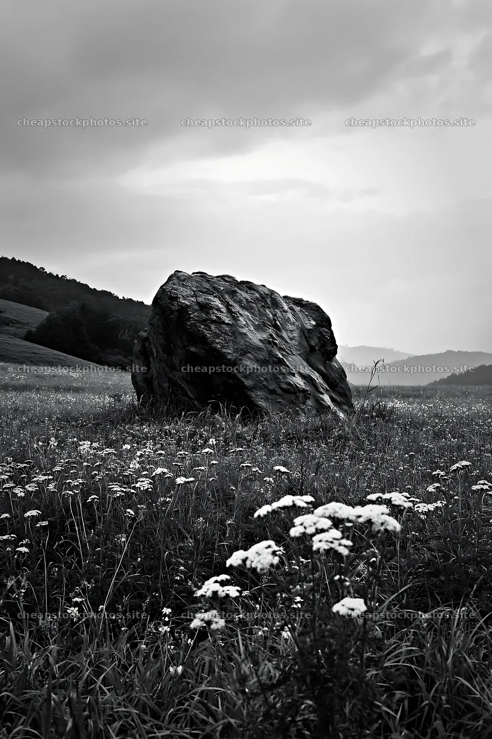 Granite boulder in a drought resilient meadow in Nagano – stock photos 6480x9722