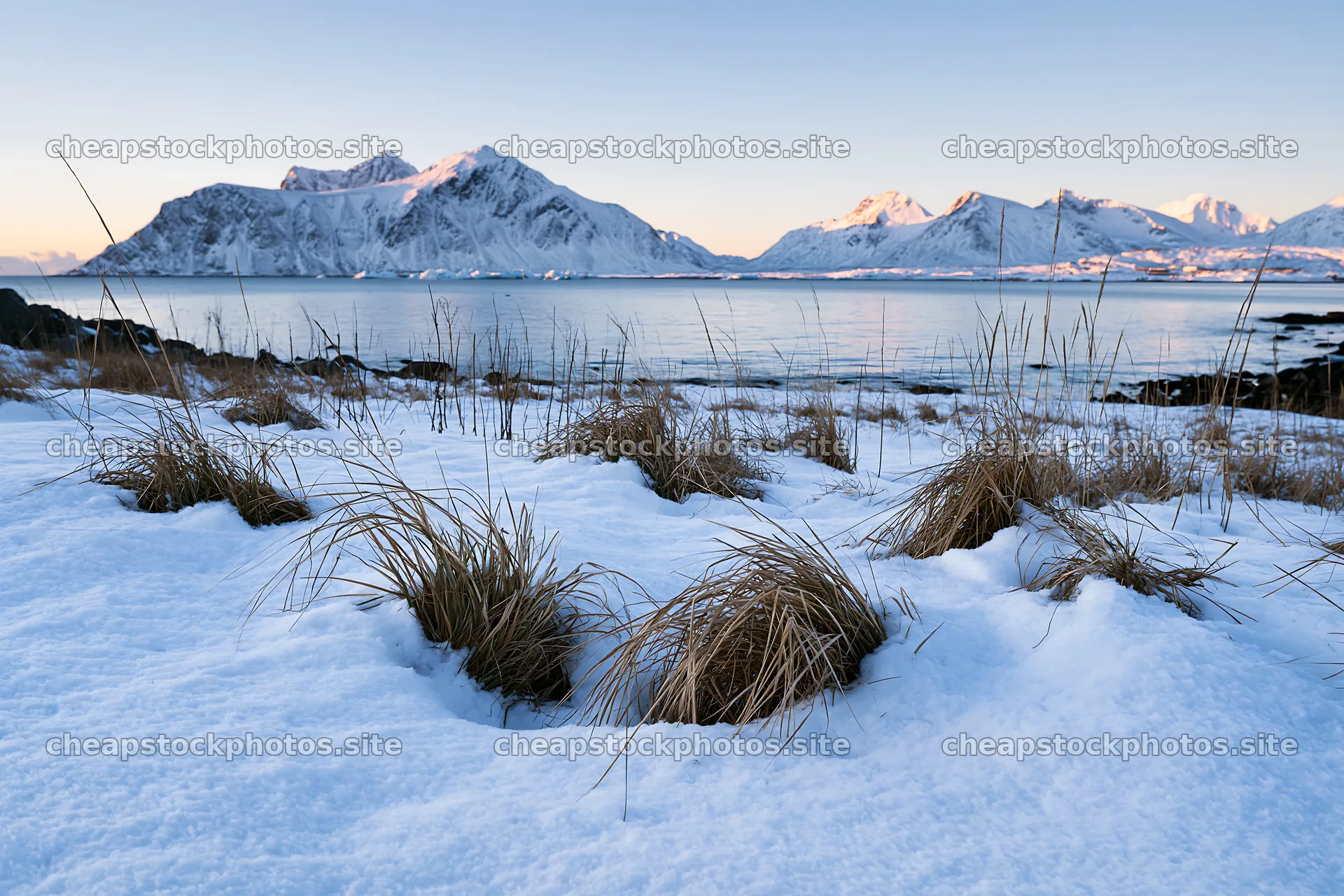 Coastal meadow with snow in Lofoten during winter – stock photos 9722x6480