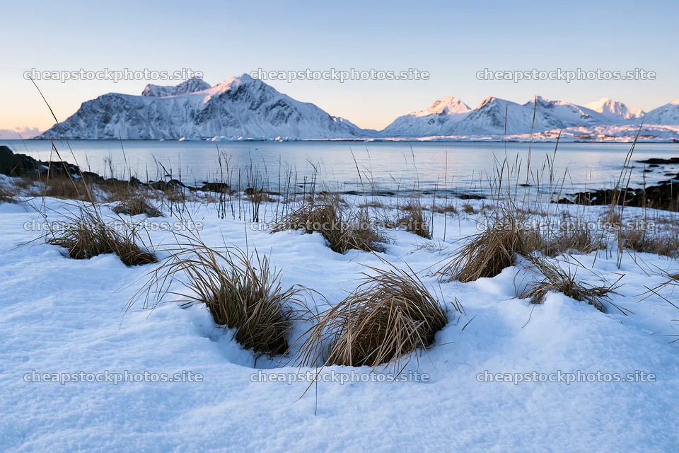 Coastal meadow with snow in Lofoten during winter – stock photos 9722x6480
