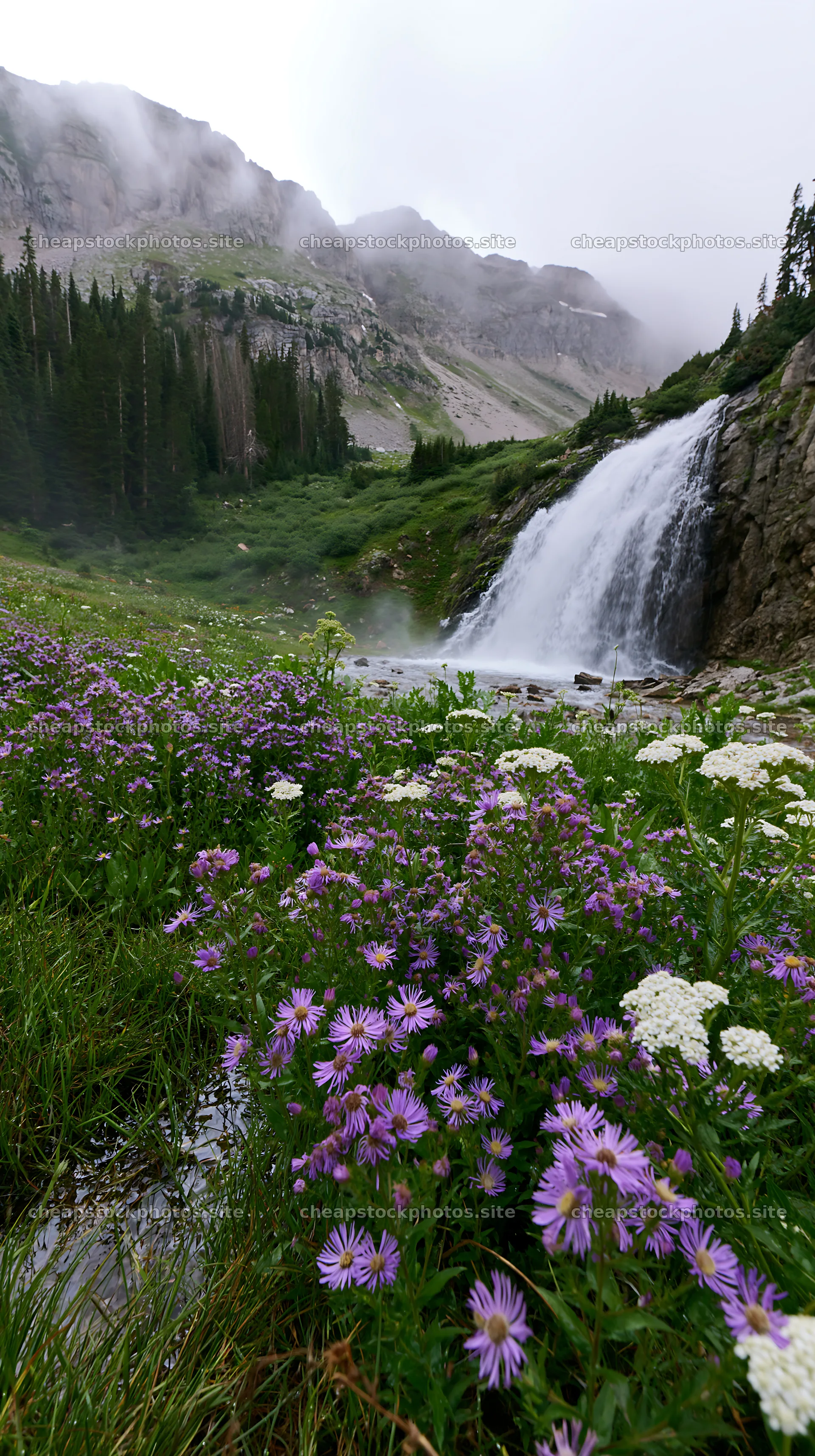 Alpine waterfall in flower meadow with purple and white blooms – stock photos 5938x10608