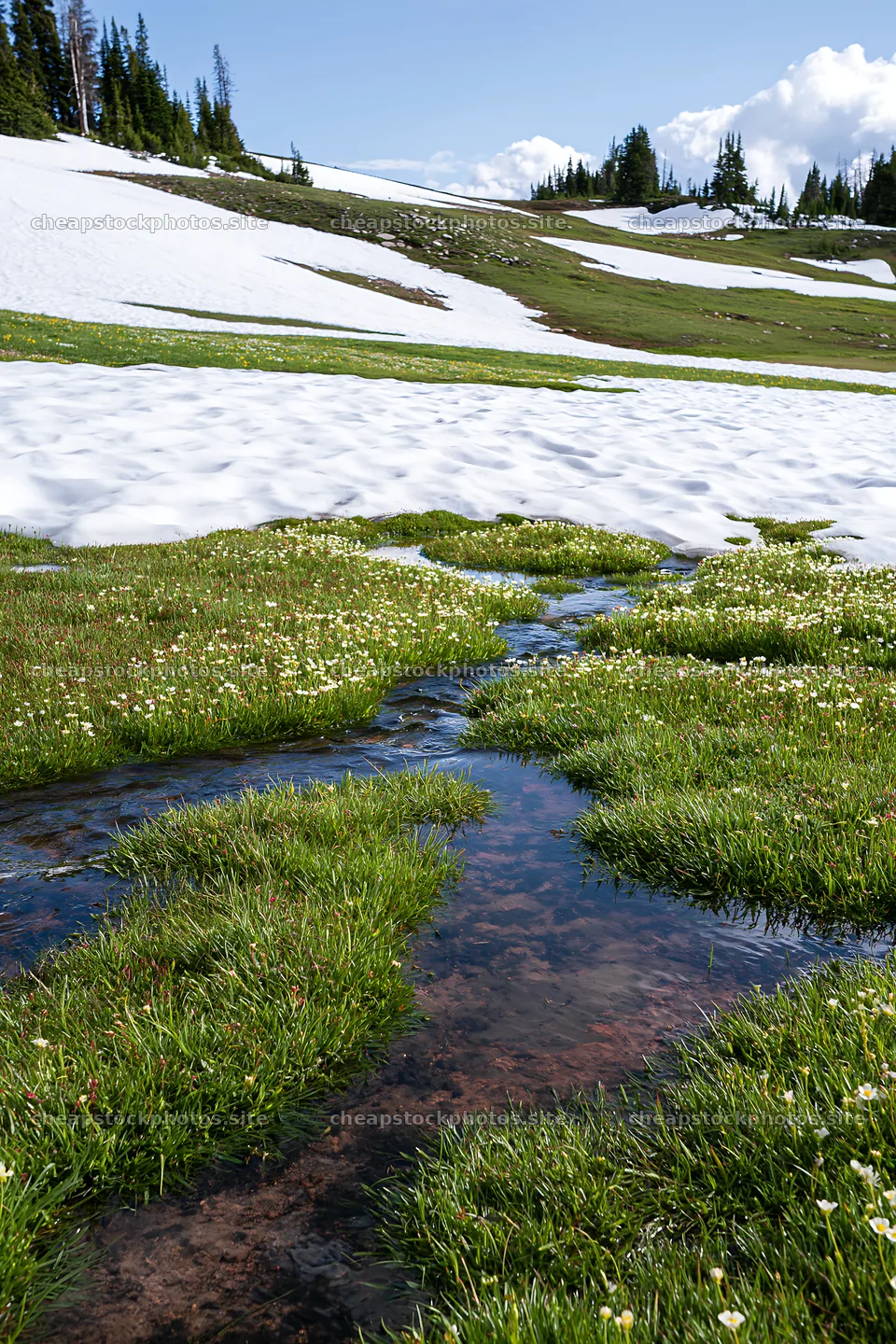 Snowy Rocky Mountain Park meadow with a stream and grass – stock photos 6480x9722
