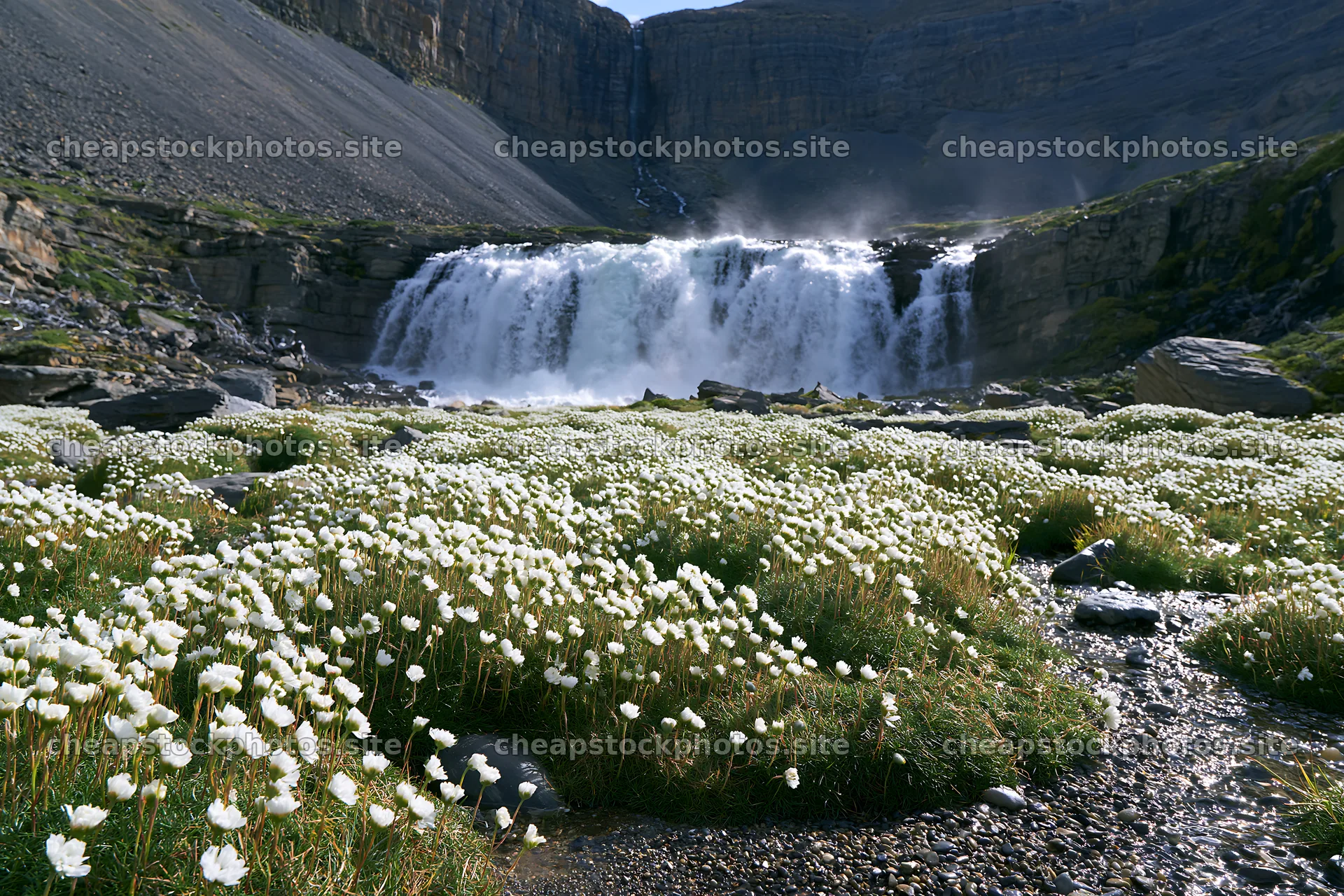 Flower meadow below a waterfall in a rocky landscape – stock photos 9722x6480
