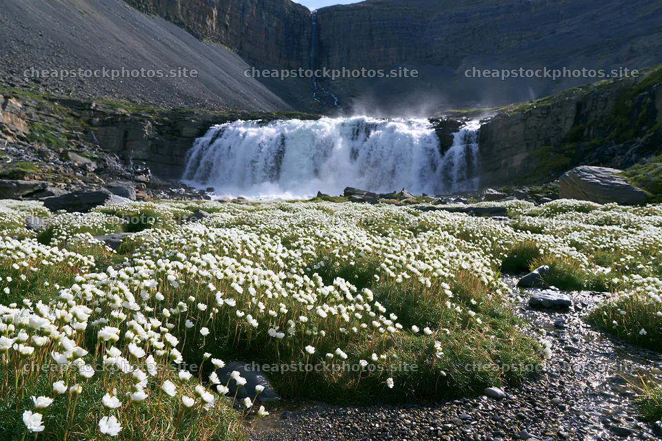 Flower meadow below a waterfall in a rocky landscape – stock photos 9722x6480
