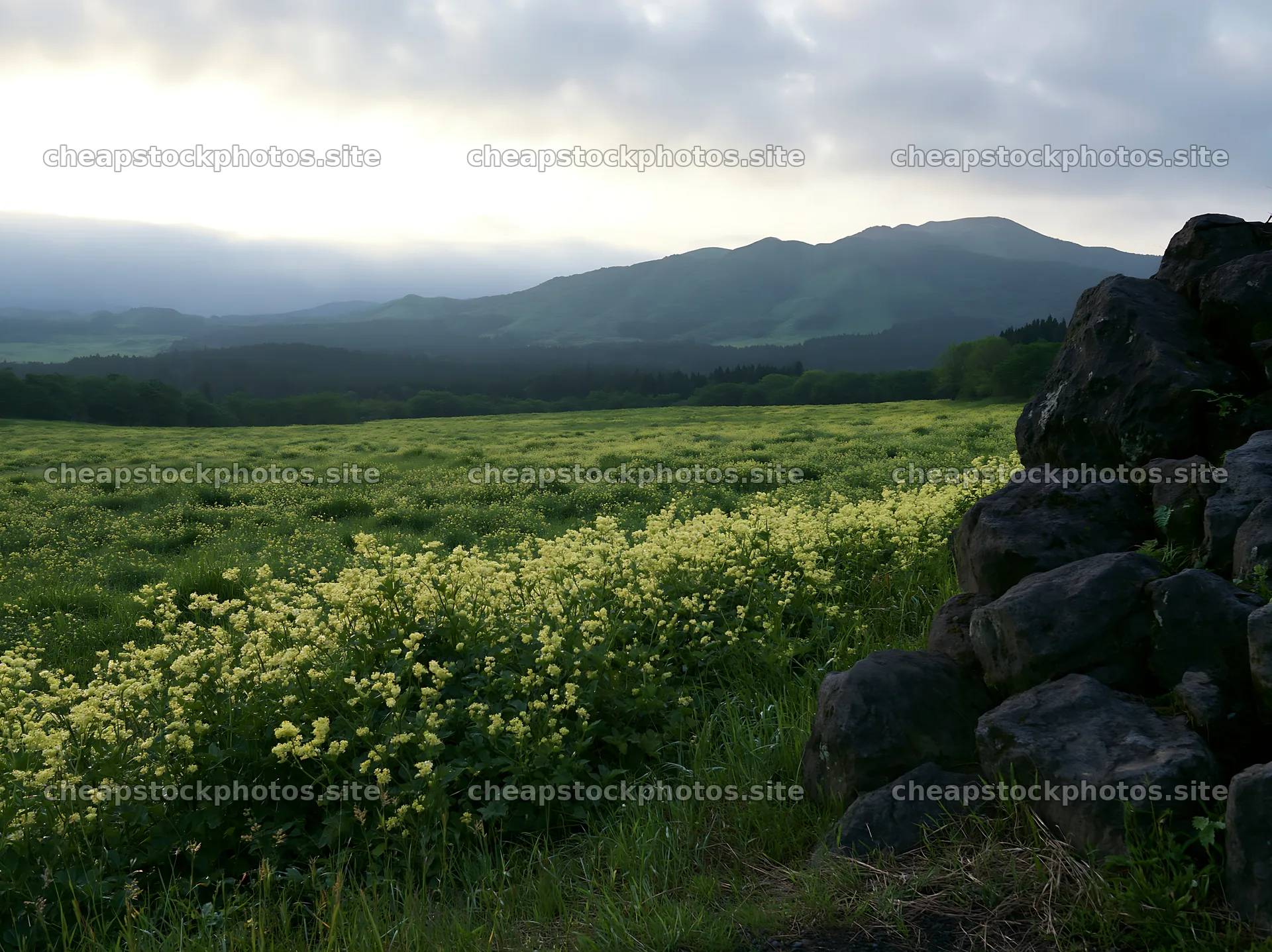 Kumamoto volcanic meadow dark rock foreground with green landscape – stock photos 9174x6866