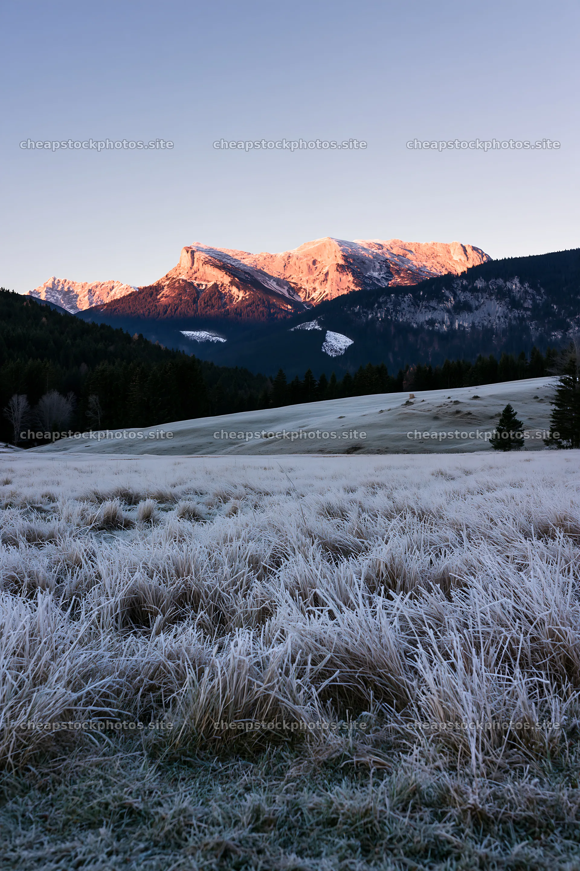 Frosty meadow at sunrise with mountains in the background – stock photos 6480x9722