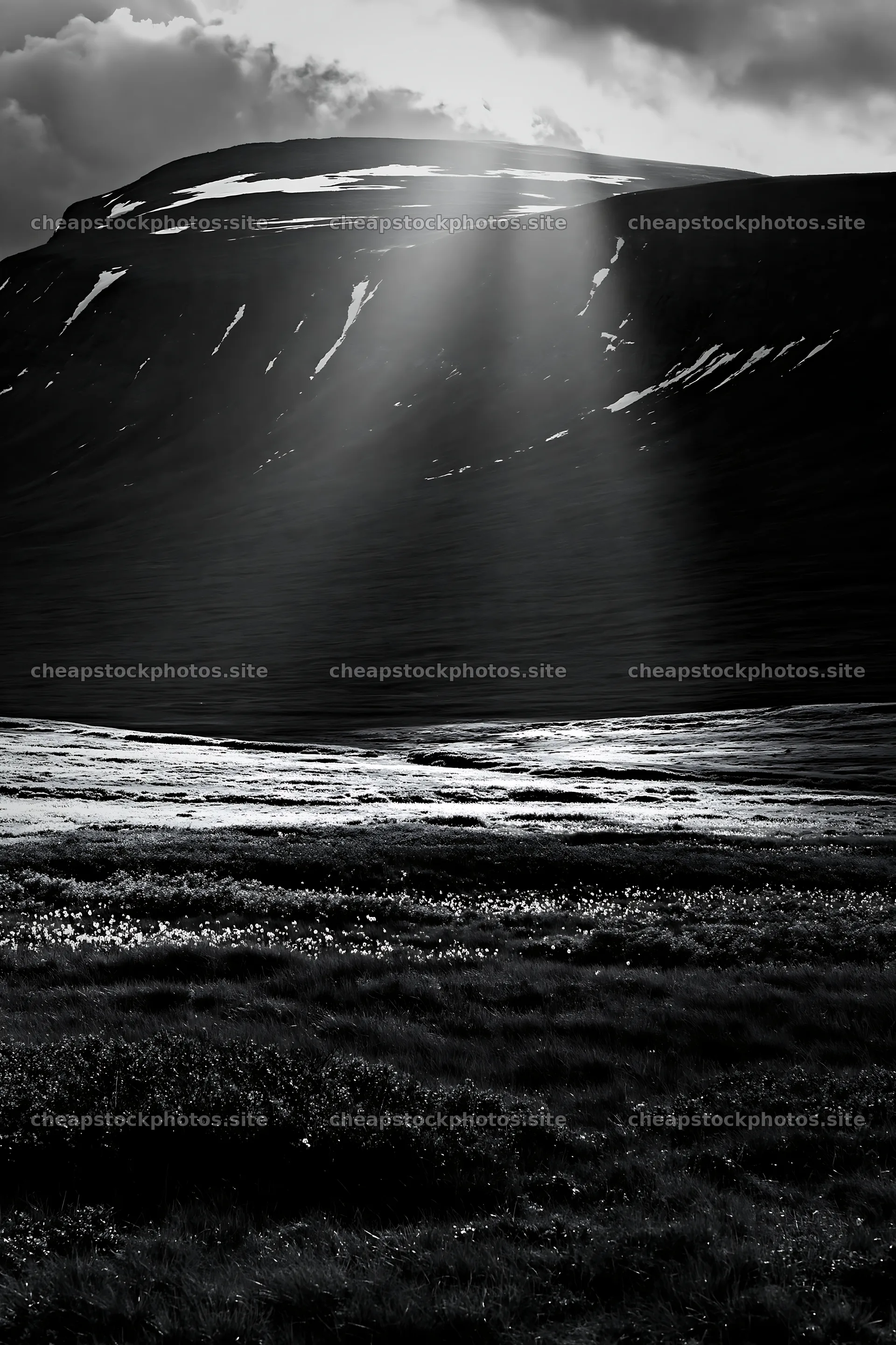 Sunrays shining down on mountain meadow landscape – stock photos 6480x9722