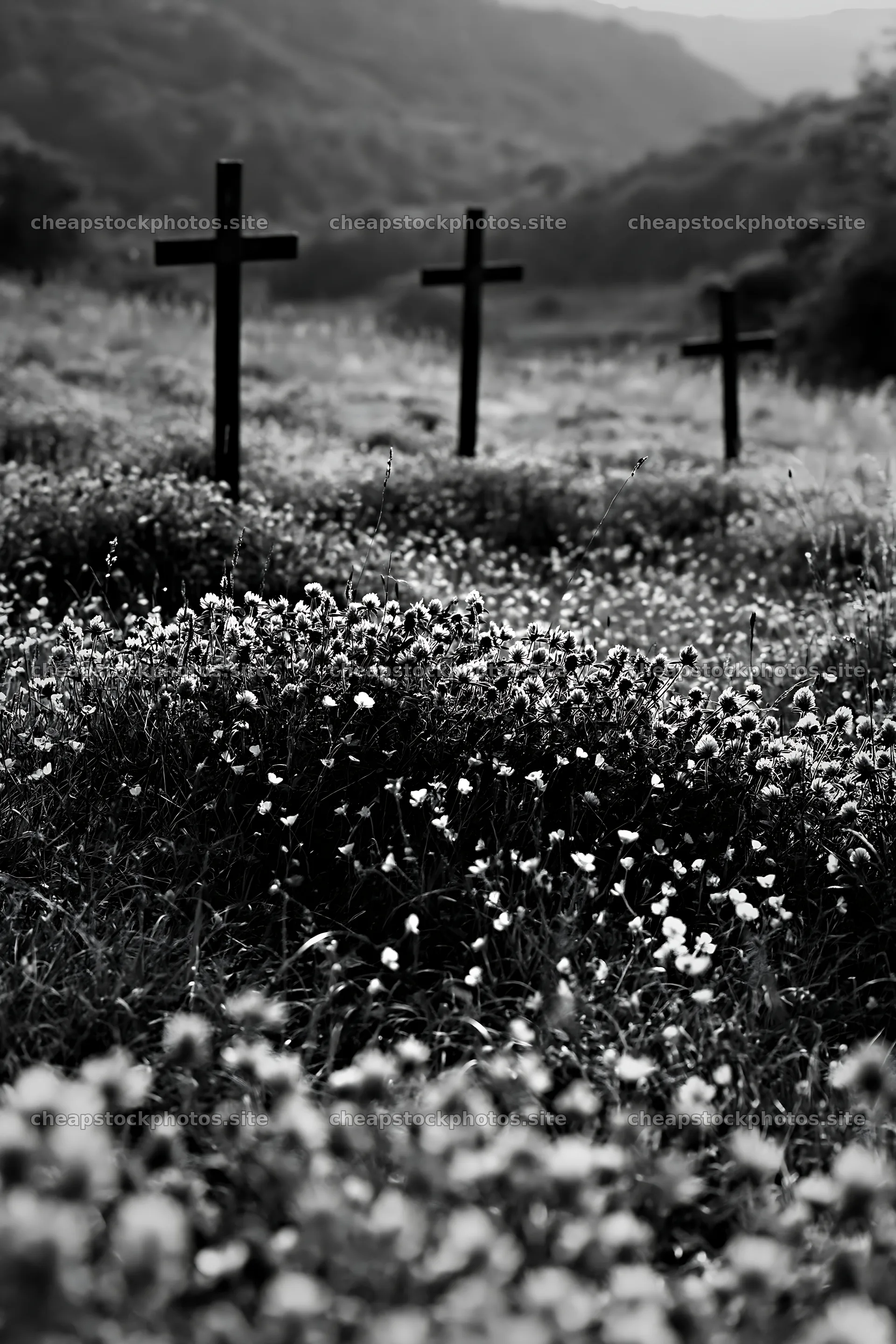 Three iron crosses in Advent meadow – stock photos 6480x9722