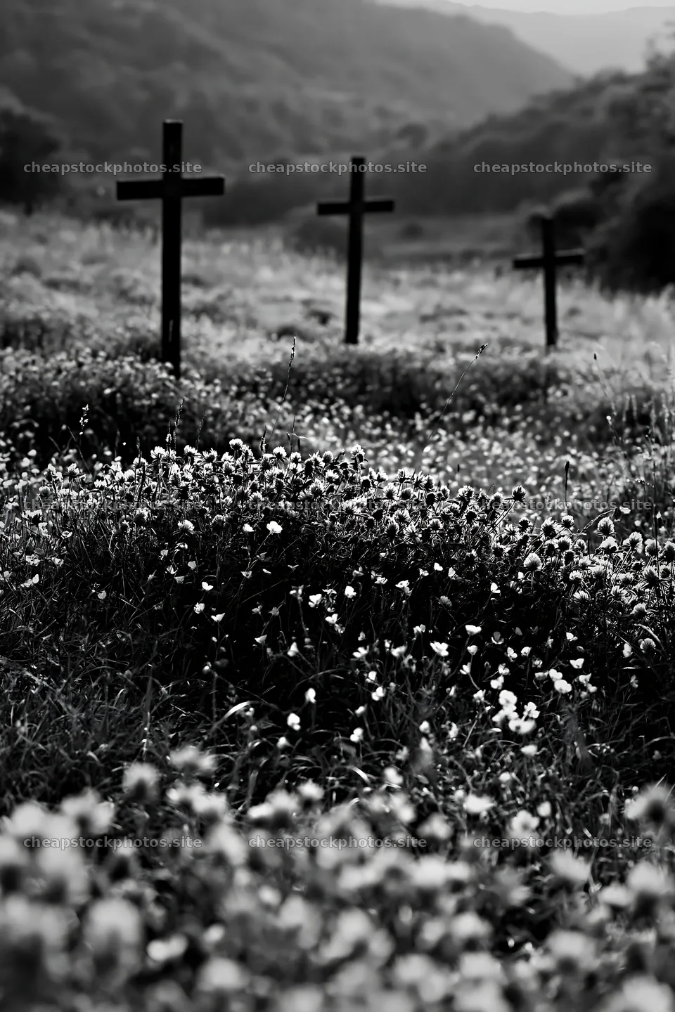 Three iron crosses in Advent meadow – stock photos 6480x9722