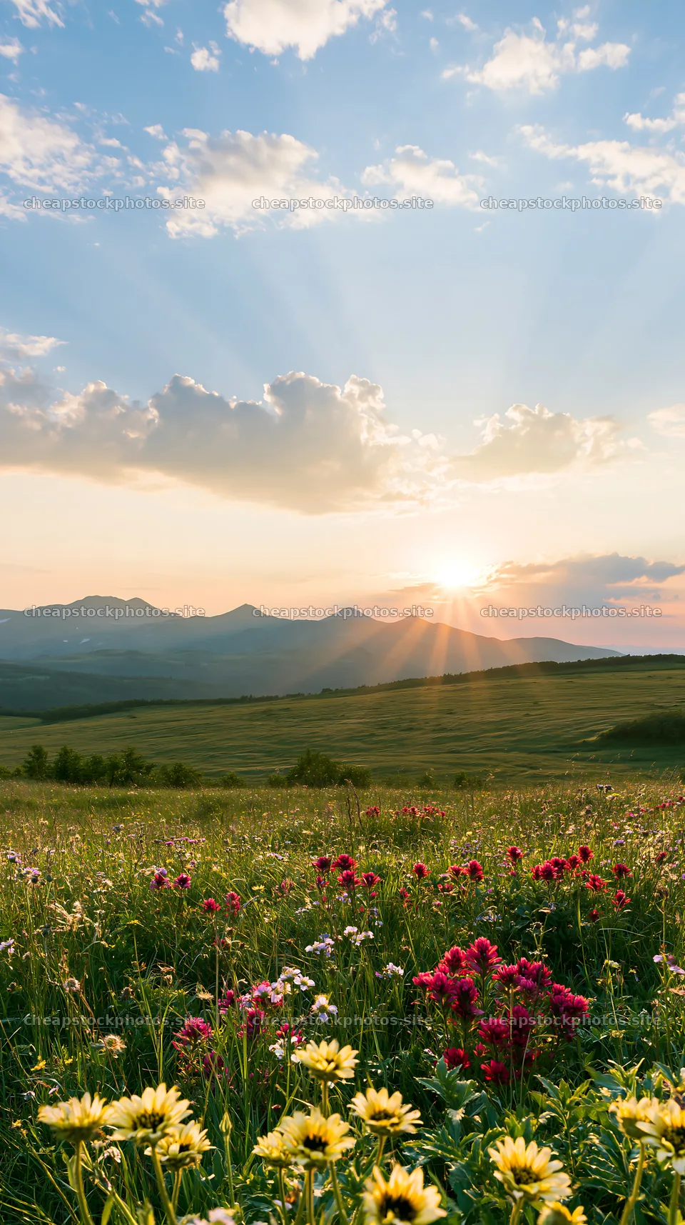 Daisetsuzan alpine meadow with light rays at sunset – stock photos 5938x10608