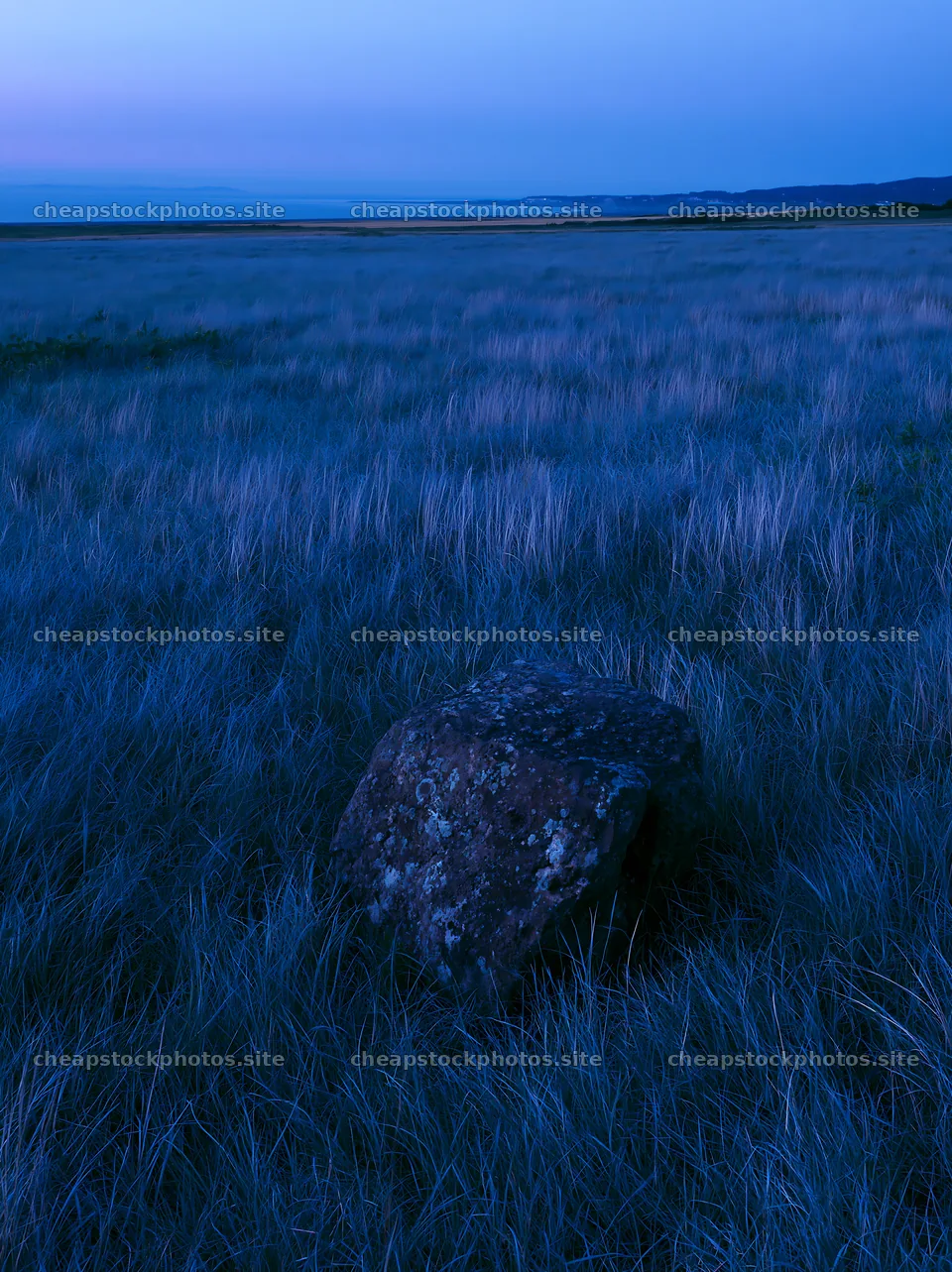 Aomori climate resilient meadow with boulder at dusk – stock photos 6866x9174
