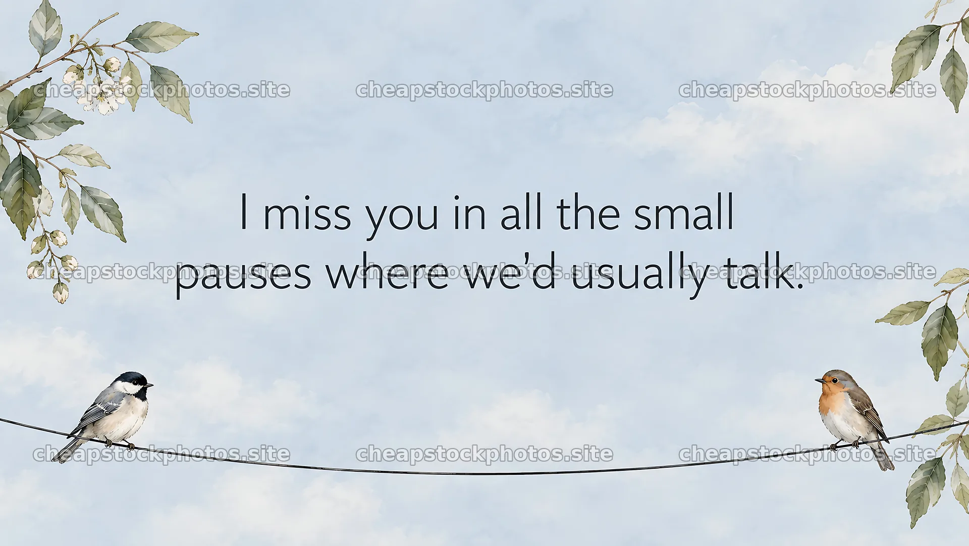 I Miss You Greeting with Birds and Blossoms – stock photos 10324x5812