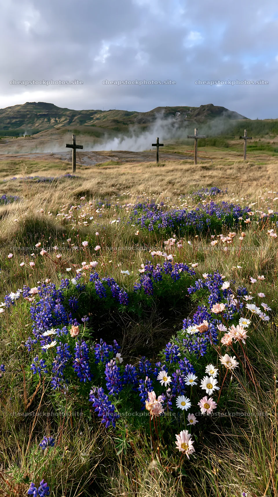 Christian crosses in geothermal spring meadow with flowers – stock photos 5938x10608