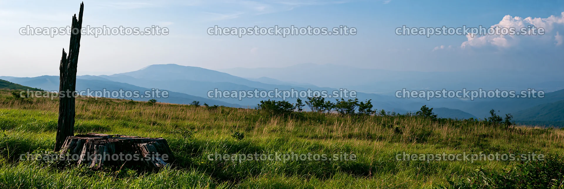 Fukushima native meadow with weathered stump and distant hills – stock photos 13690x4602