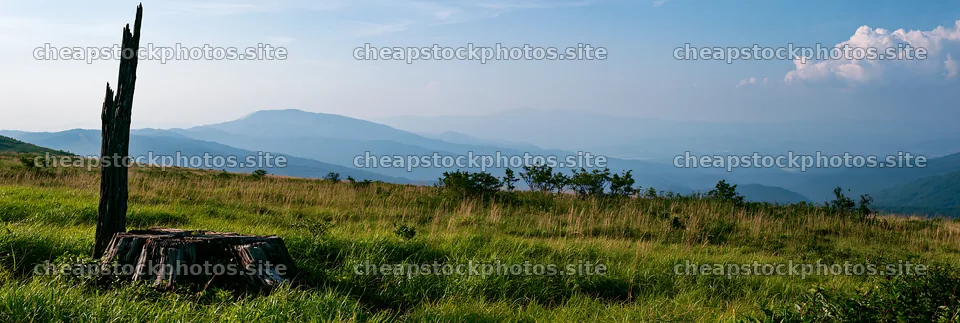 Fukushima native meadow with weathered stump and distant hills – stock photos 13690x4602