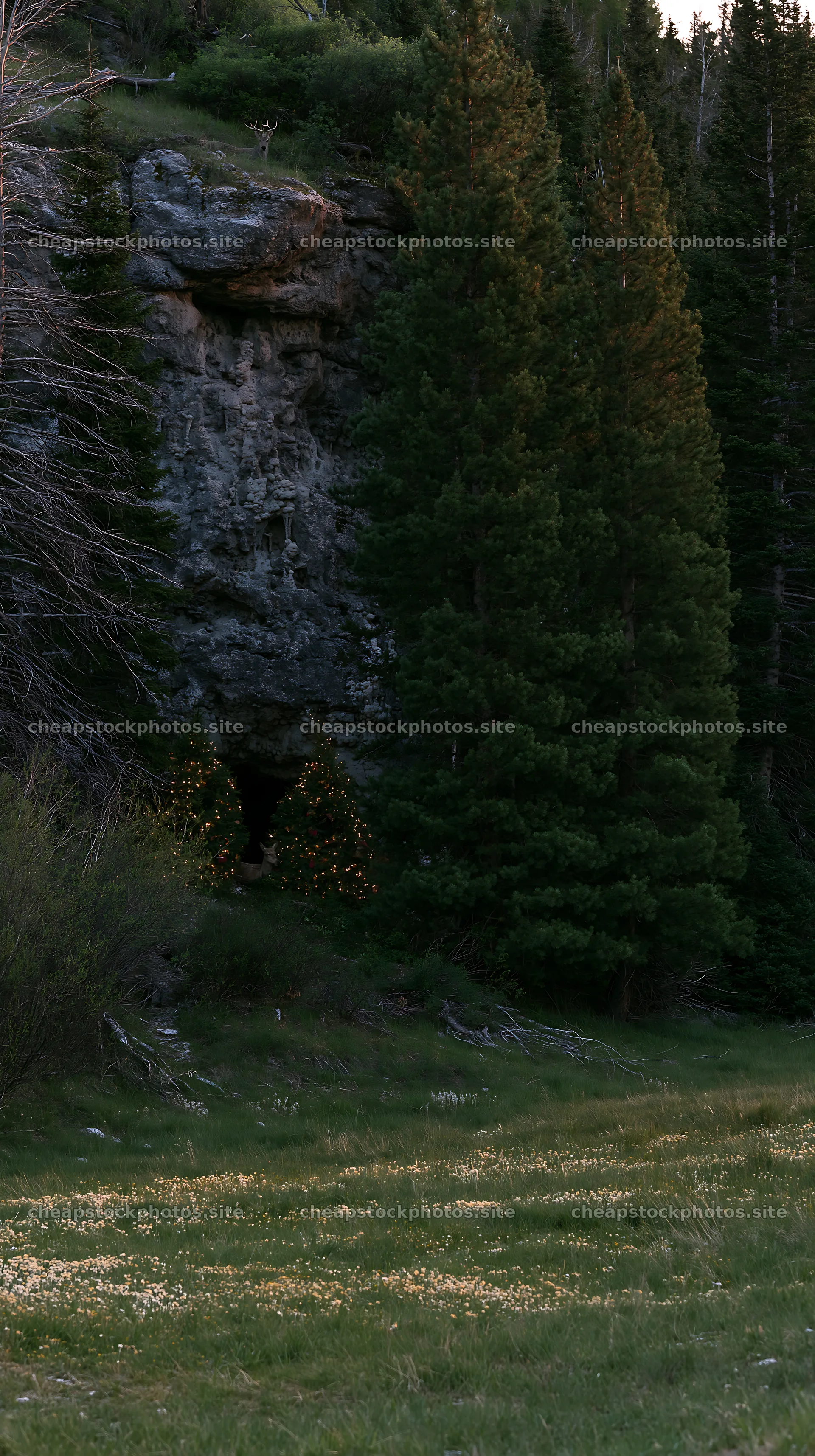 Christmas wreaths placed near cave in meadow – stock photos 5938x10608