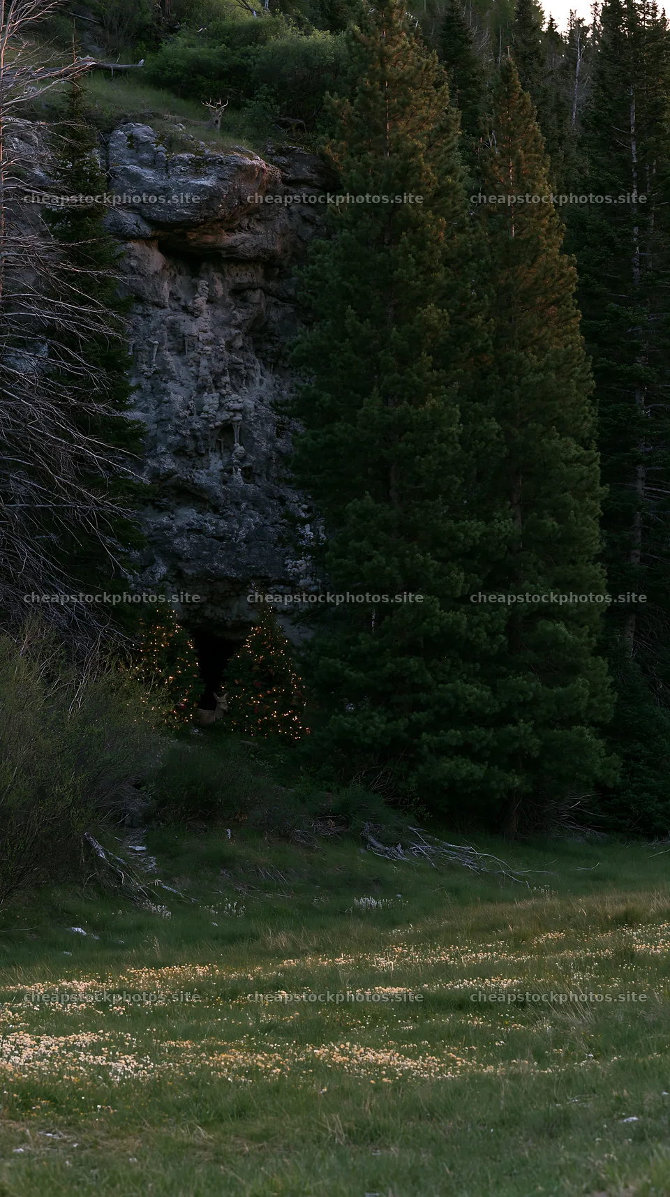 Christmas wreaths placed near cave in meadow – stock photos 5938x10608