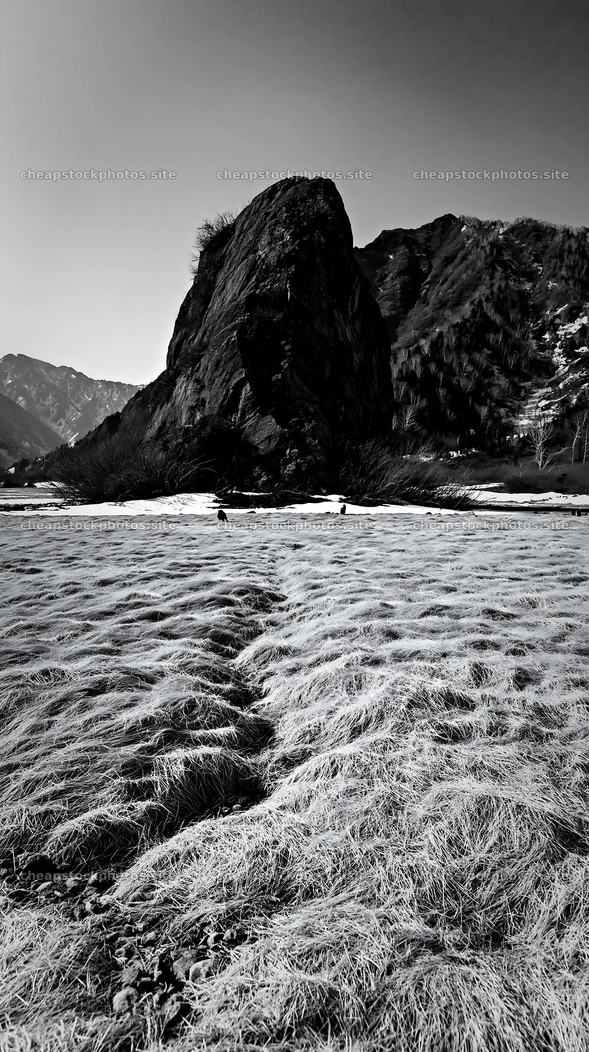 Nagano meadow with granite boulder under drought conditions – stock photos 5938x10608